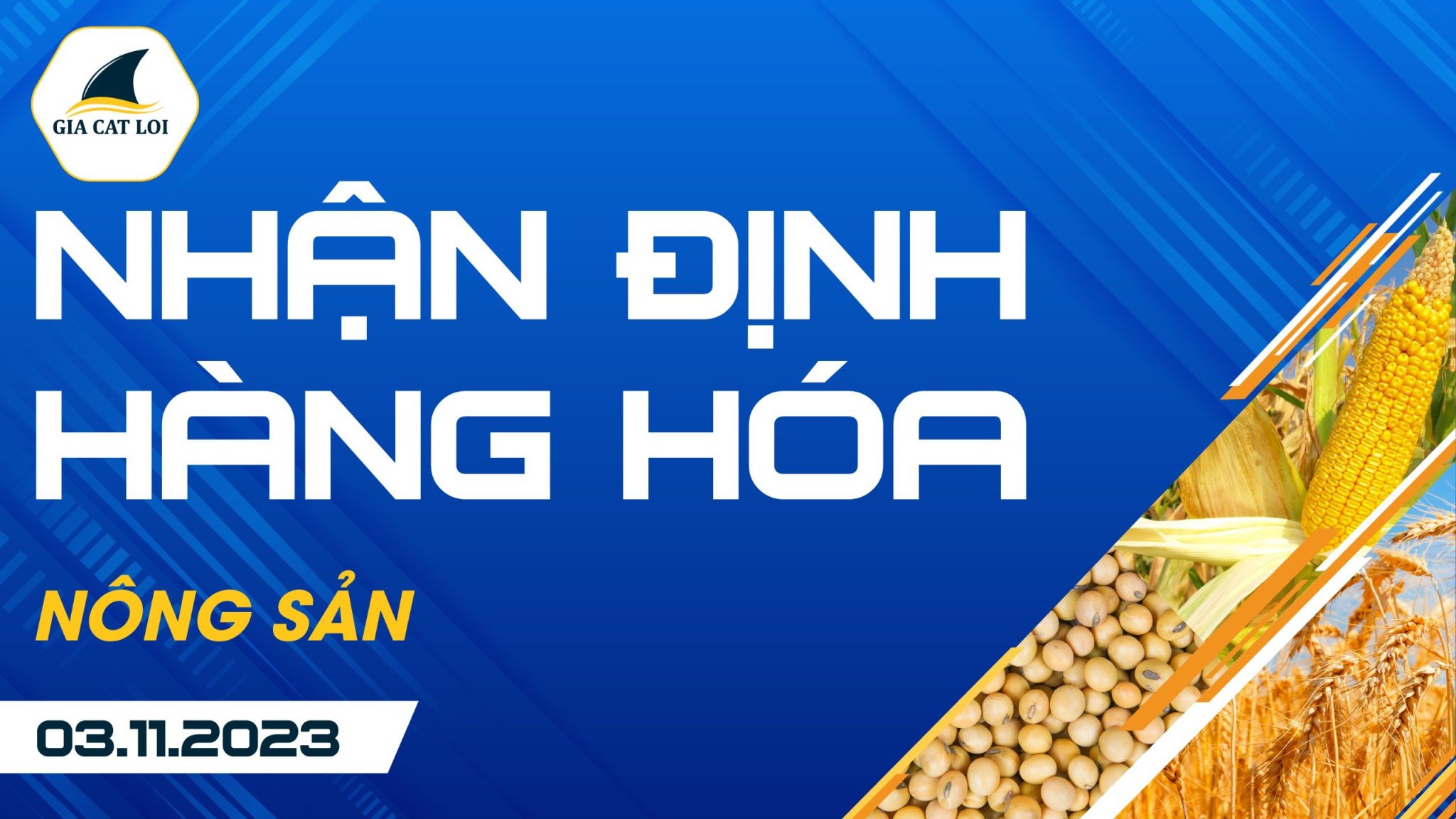 Nhận Định Hàng Hoá Nông Sản Ngày 03/11/2023