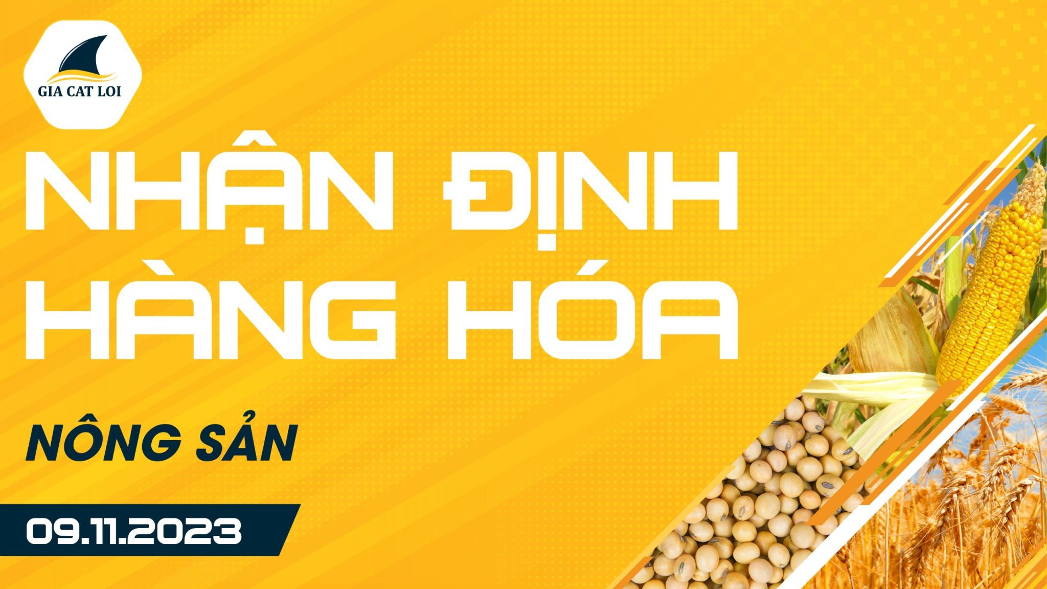 Nhận Định Hàng Hoá Nông Sản Ngày 09/11/2023