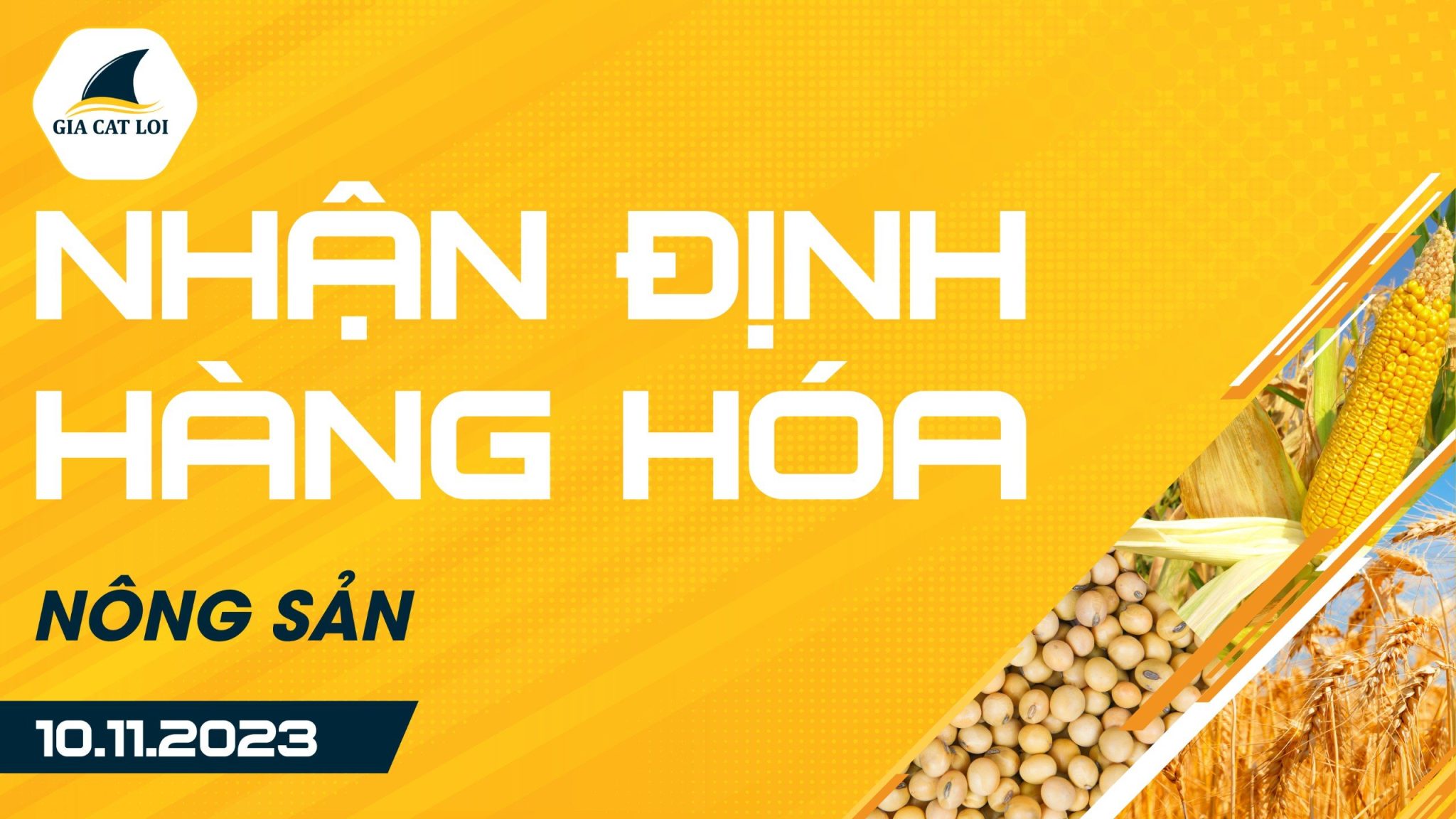 Nhận Định Hàng Hoá Nông Sản Ngày 10/11/2023