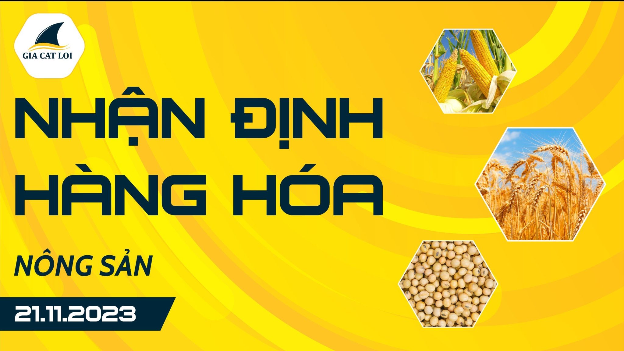 Nhận Định Hàng Hoá Nông Sản Ngày 21/11/2023