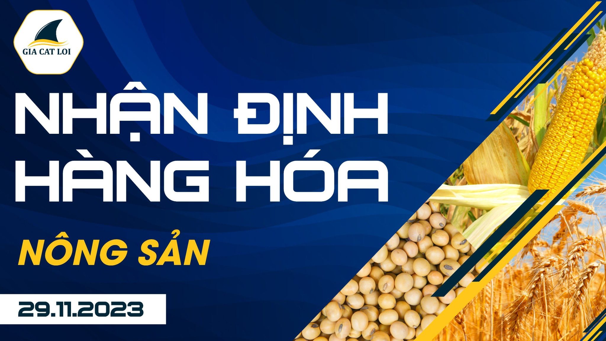 Nhận Định Hàng Hoá Nông Sản Ngày 29/11/2023