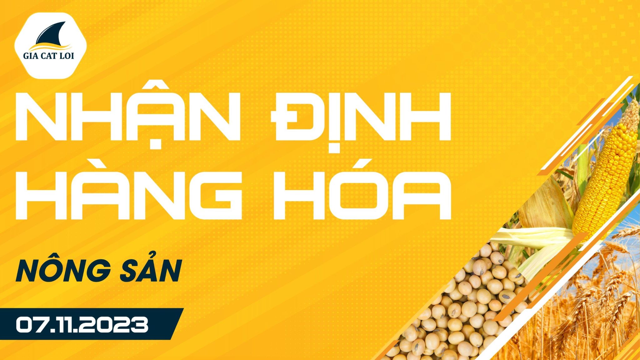 Nhận Định Hàng Hoá Nông Sản Ngày 07/11/2023