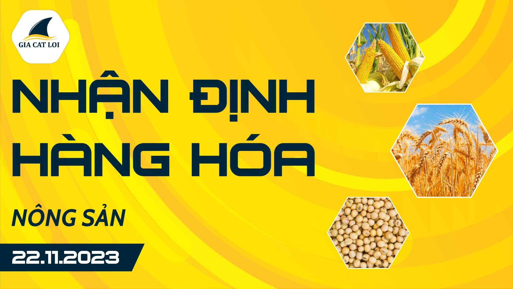 Nhận Định Hàng Hoá Nông Sản Ngày 22/11/2023