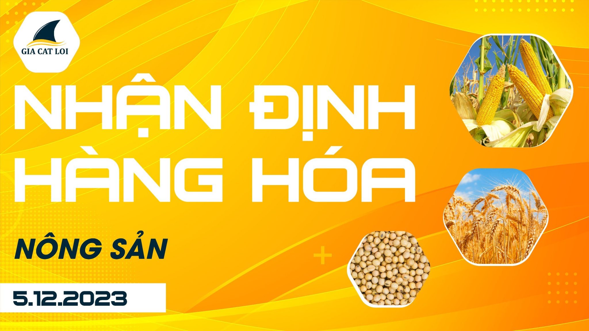 Nhận Định Hàng Hoá Nông Sản Ngày 05/12/2023