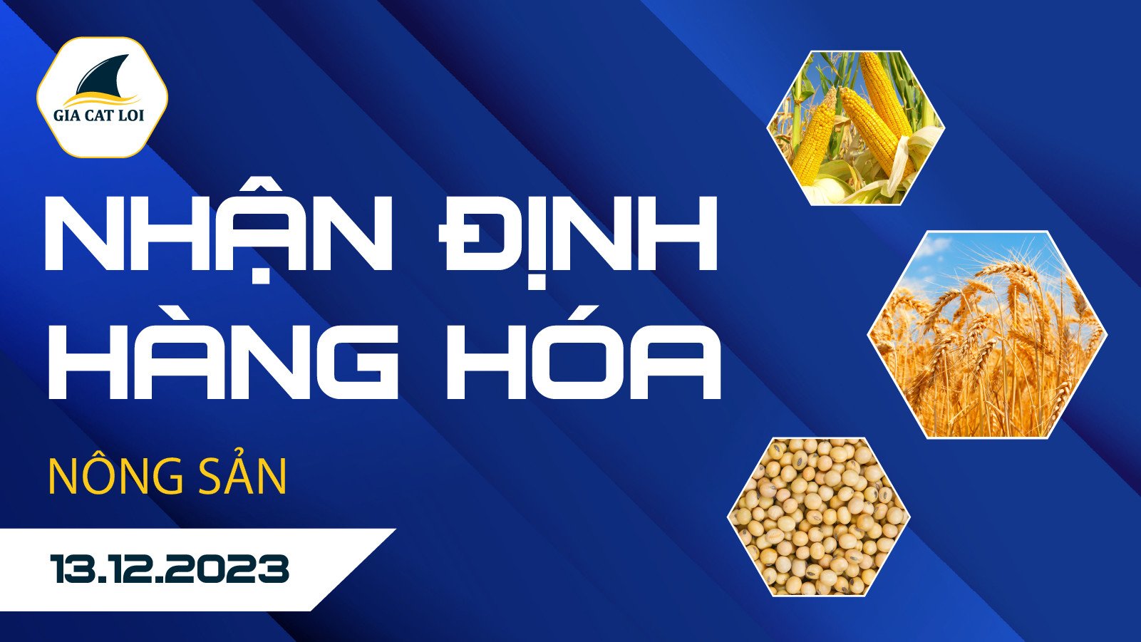 Nhận Định Hàng Hoá Nông Sản Ngày 13/12/2023