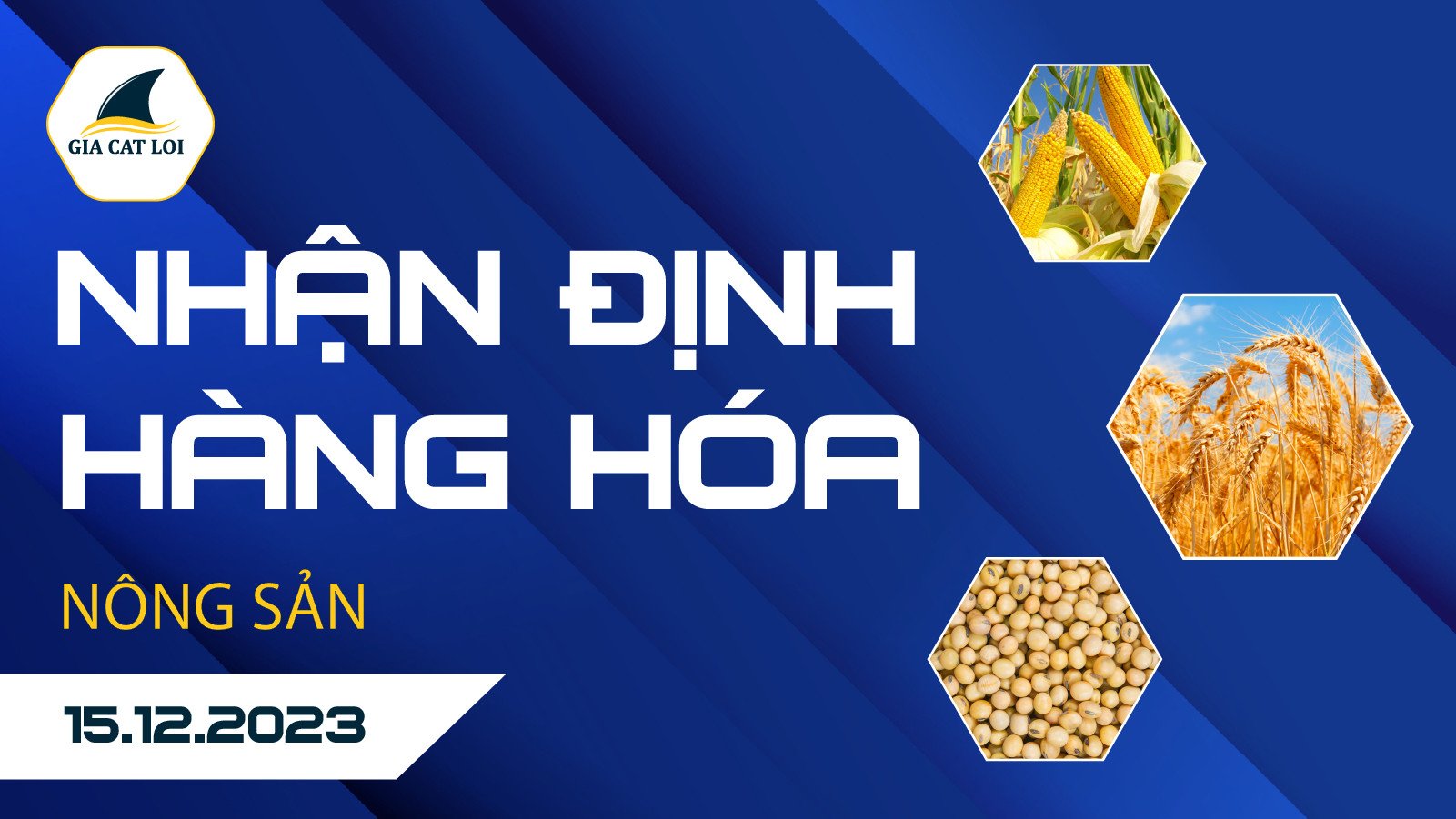 Nhận Định Hàng Hoá Nông Sản Ngày 15/12/2023
