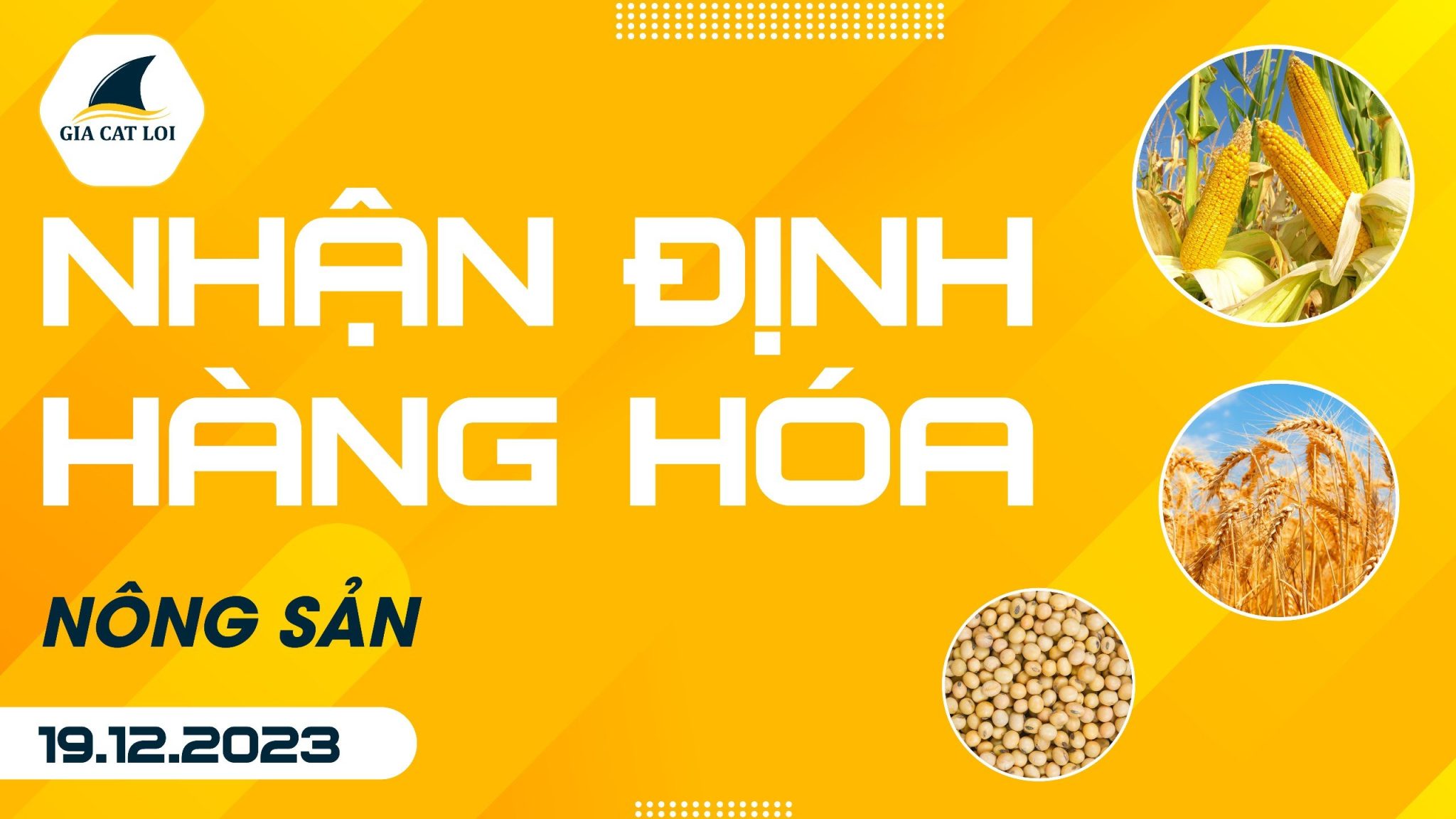 Nhận Định Hàng Hoá Nông Sản Ngày 19/12/2023