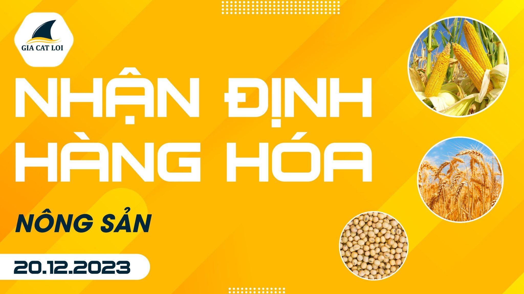 Nhận Định Hàng Hoá Nông Sản Ngày 20/12/2023