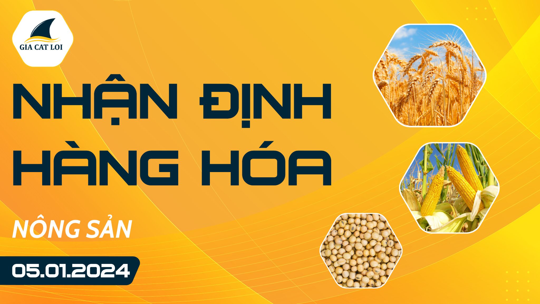 Nhận Định Hàng Hoá Nông Sản Ngày 05/01/2024