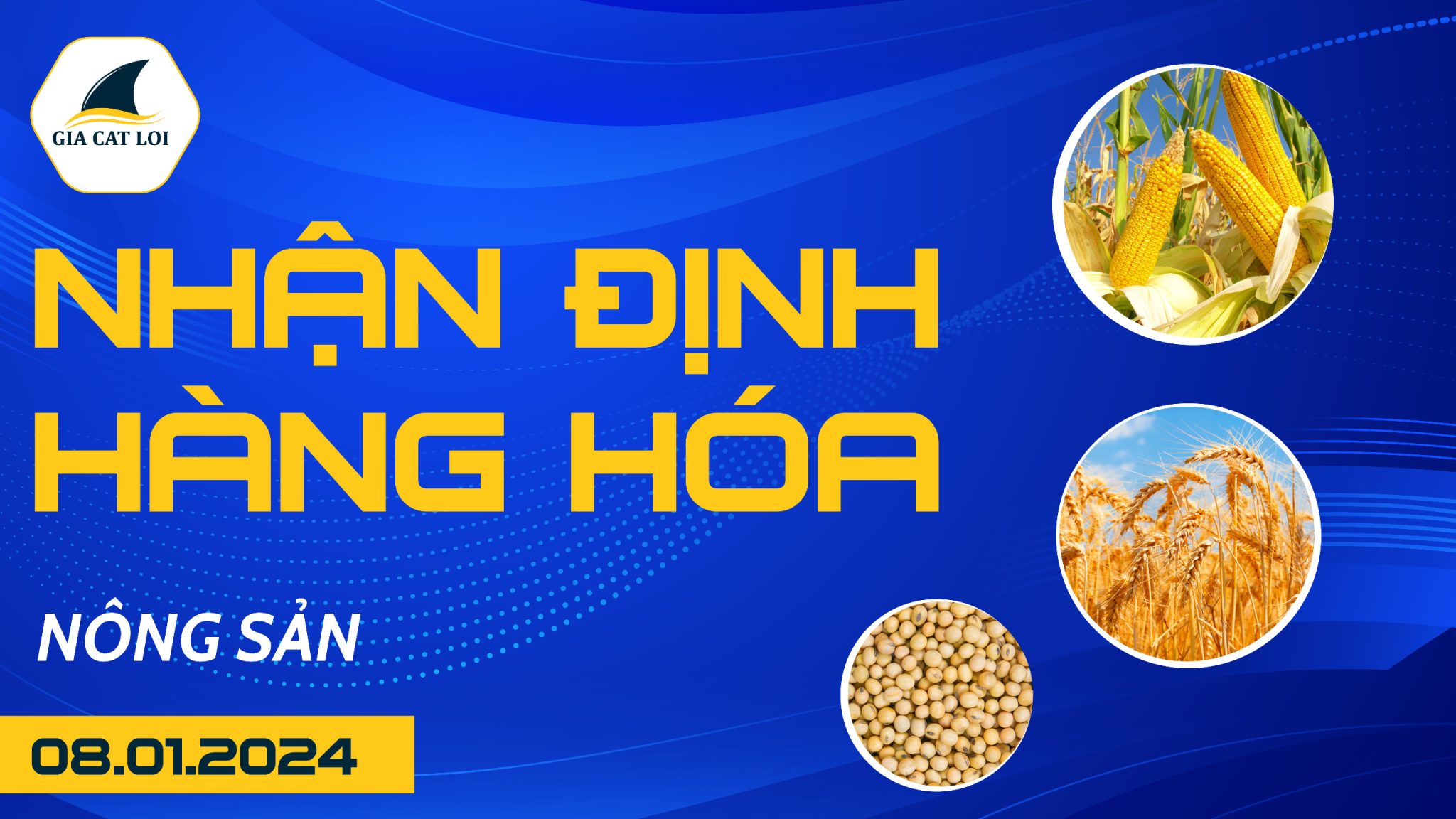 Nhận Định Hàng Hoá Nông Sản Ngày 08/01/2024