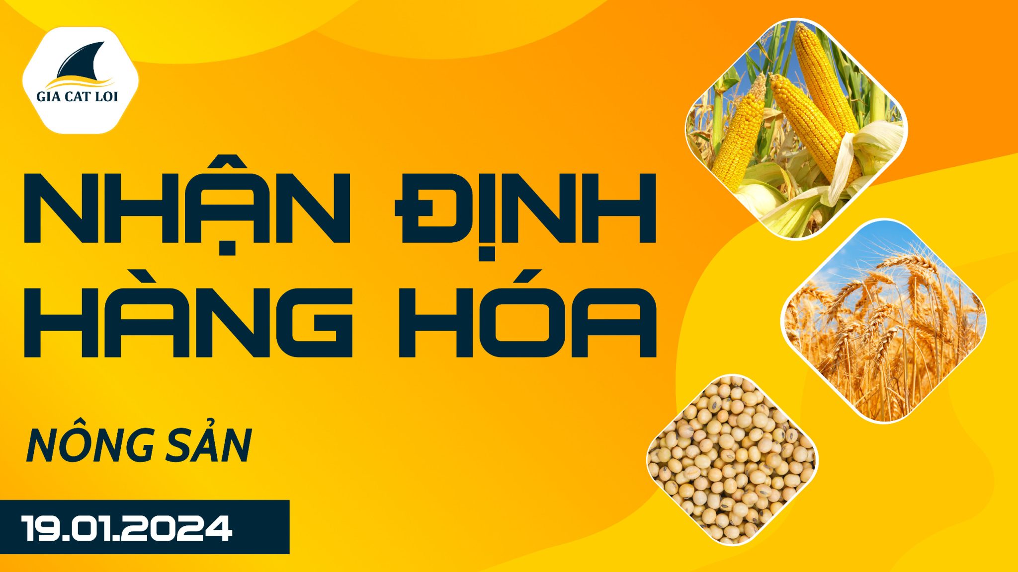 Nhận Định Hàng Hoá Nông Sản Ngày 19/01/2024