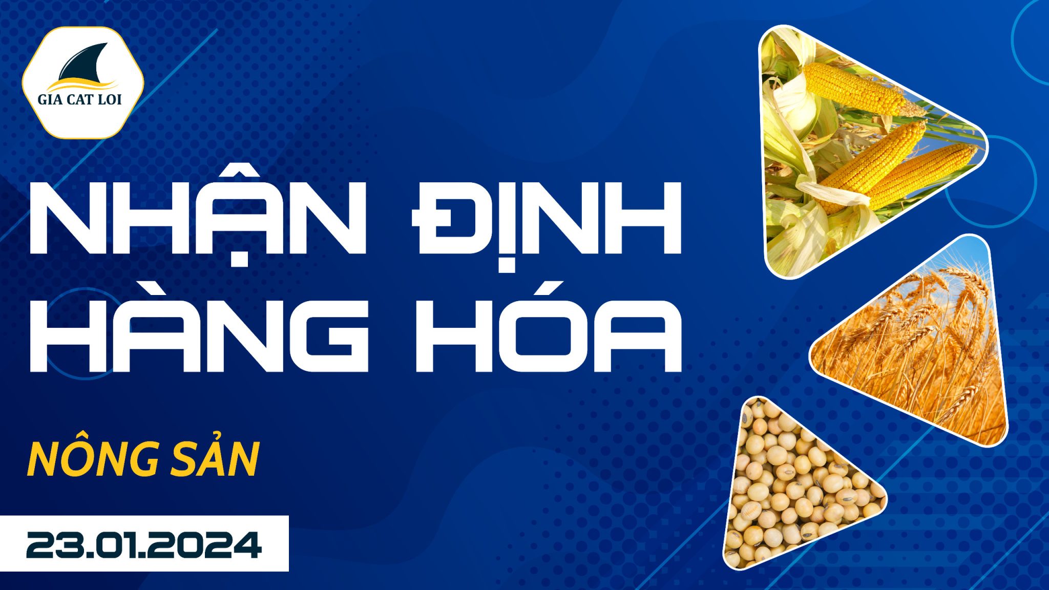 Nhận Định Hàng Hoá Nông Sản Ngày 23/01/2024