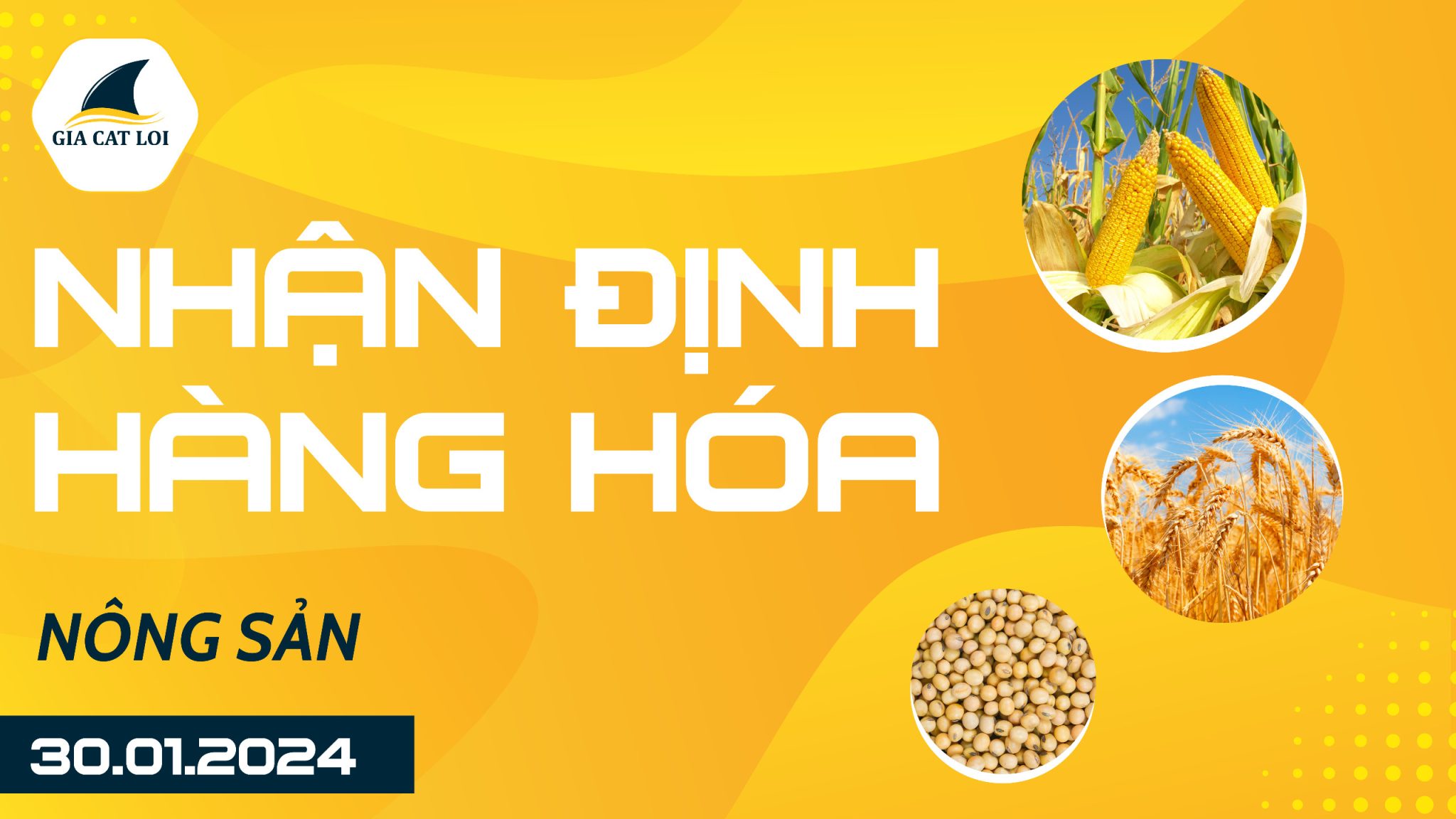 Nhận Định Hàng Hoá Nông Sản Ngày 30/01/2024