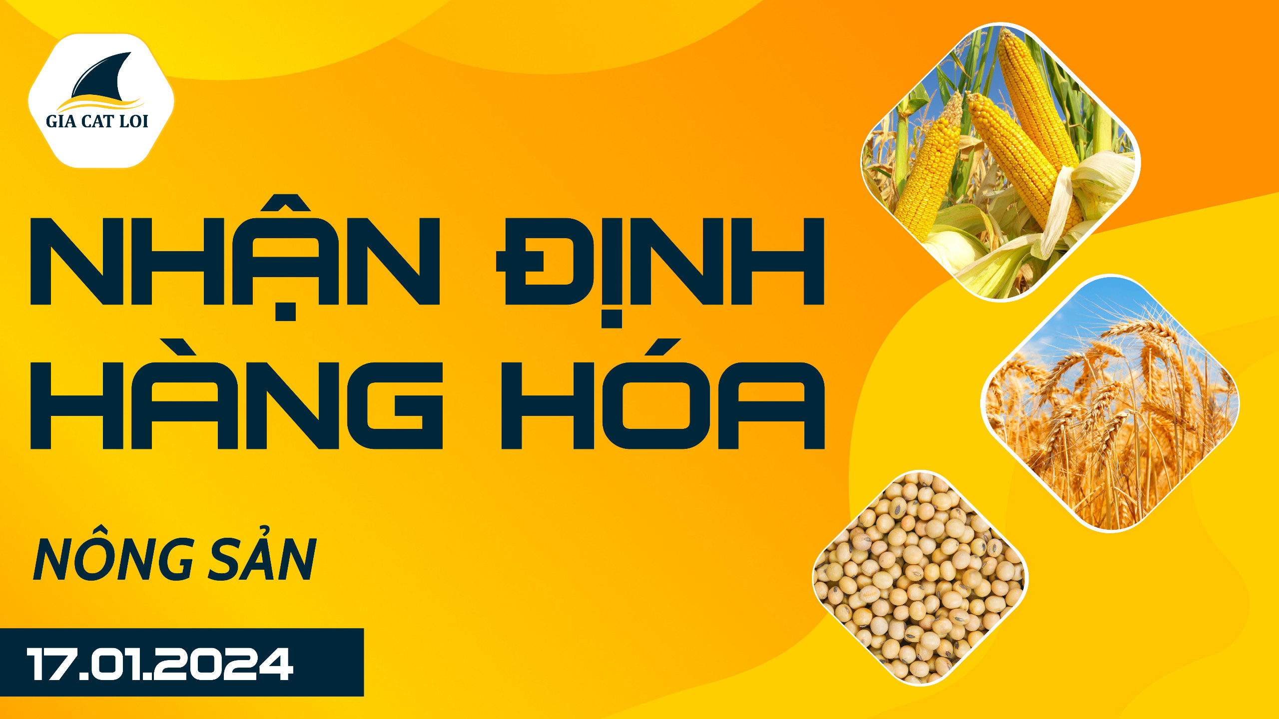 Nhận Định Hàng Hóa Nông Sản Ngày 17/01/2024