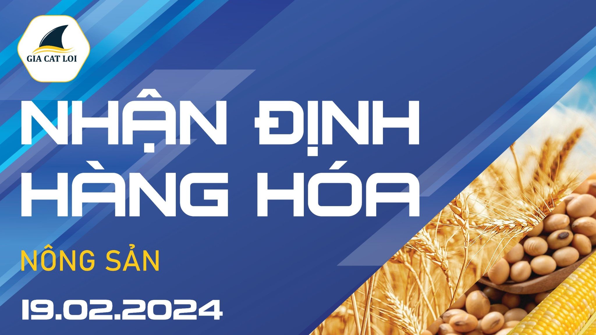 Nhận Định Hàng Hoá Nông Sản Ngày 19/02/2024
