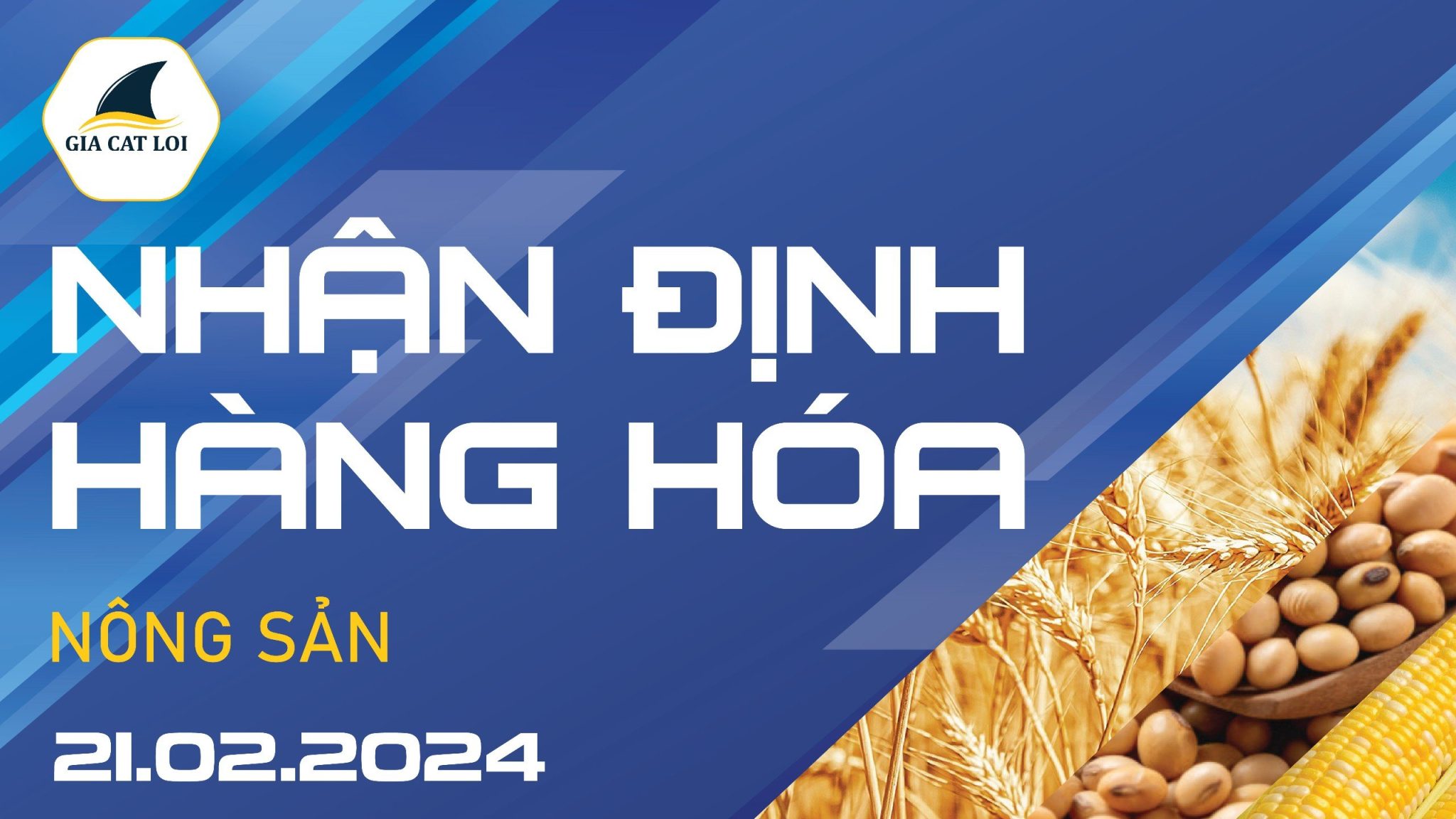 Nhận Định Hàng Hoá Nông Sản Ngày 21/02/2024