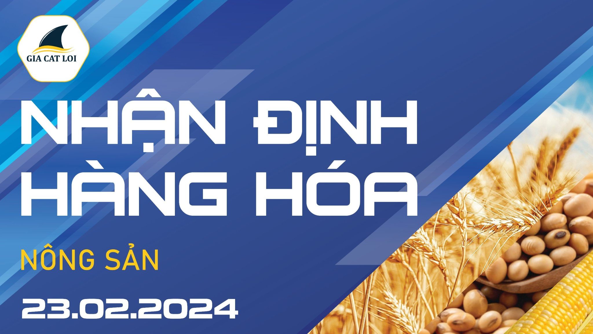 Nhận Định Hàng Hoá Nông Sản Ngày 23/02/2024