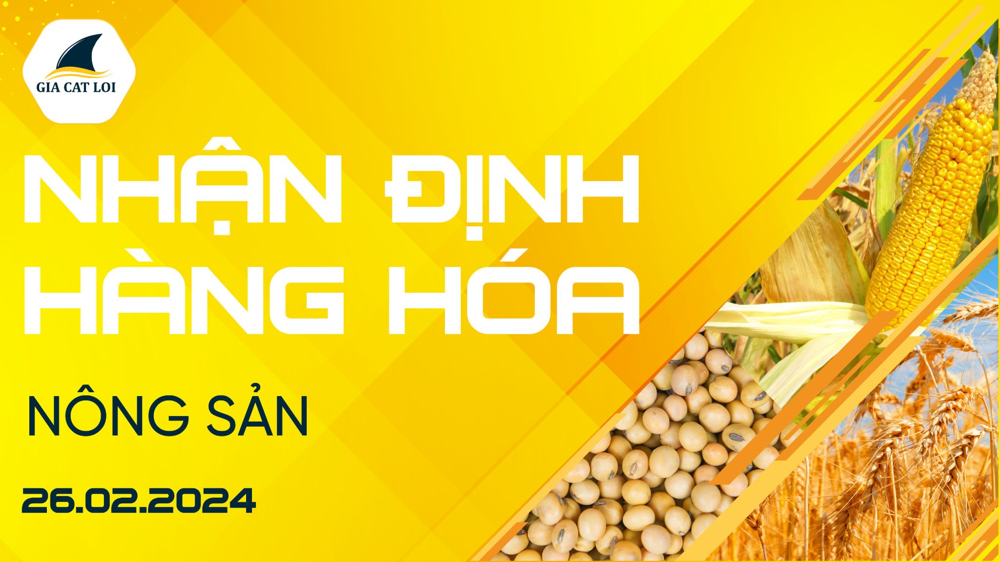 Nhận Định Hàng Hoá Nông Sản Ngày 26/02/2024