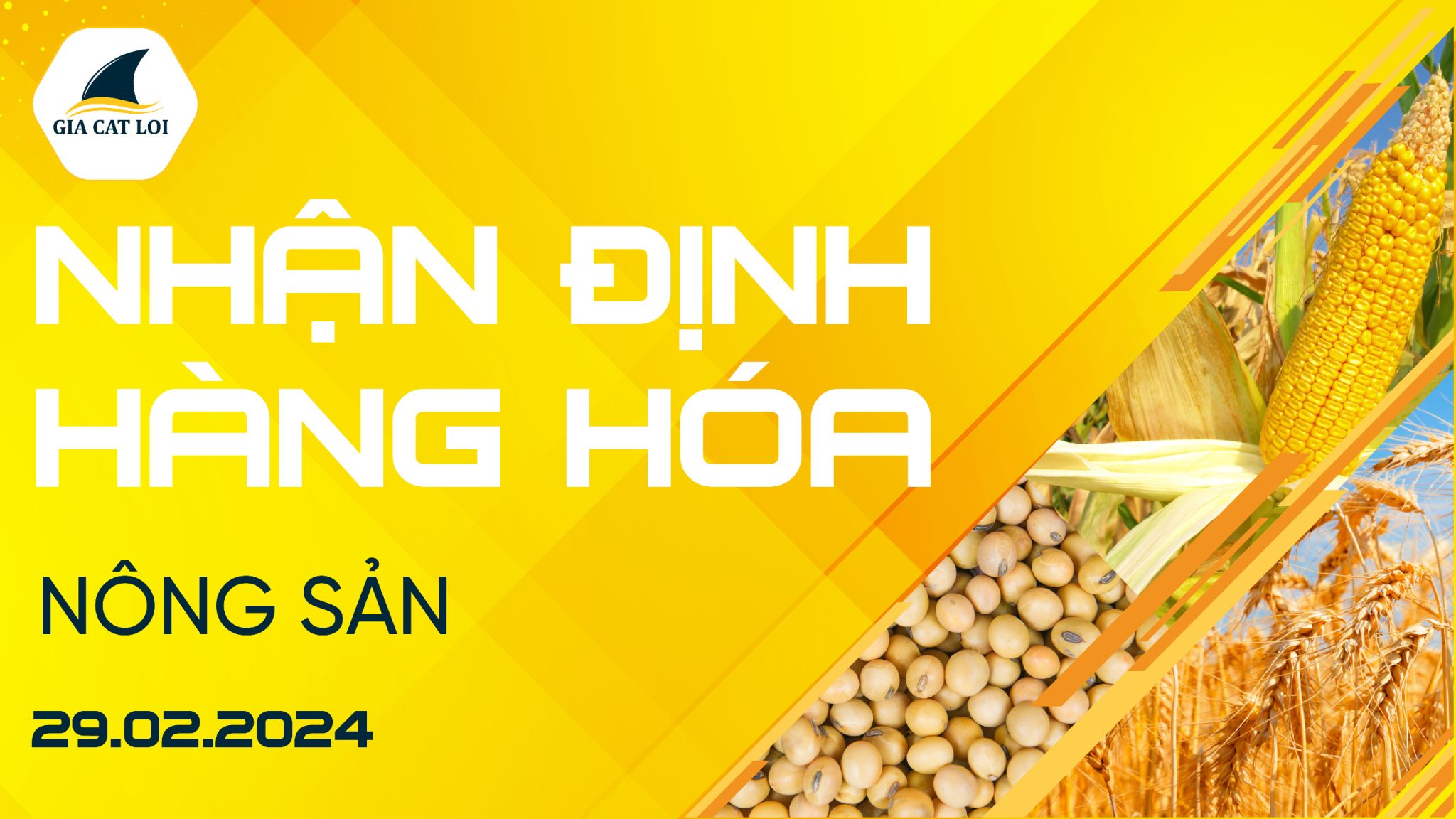 Nhận Định Hàng Hoá Nông Sản Ngày 29/02/2024