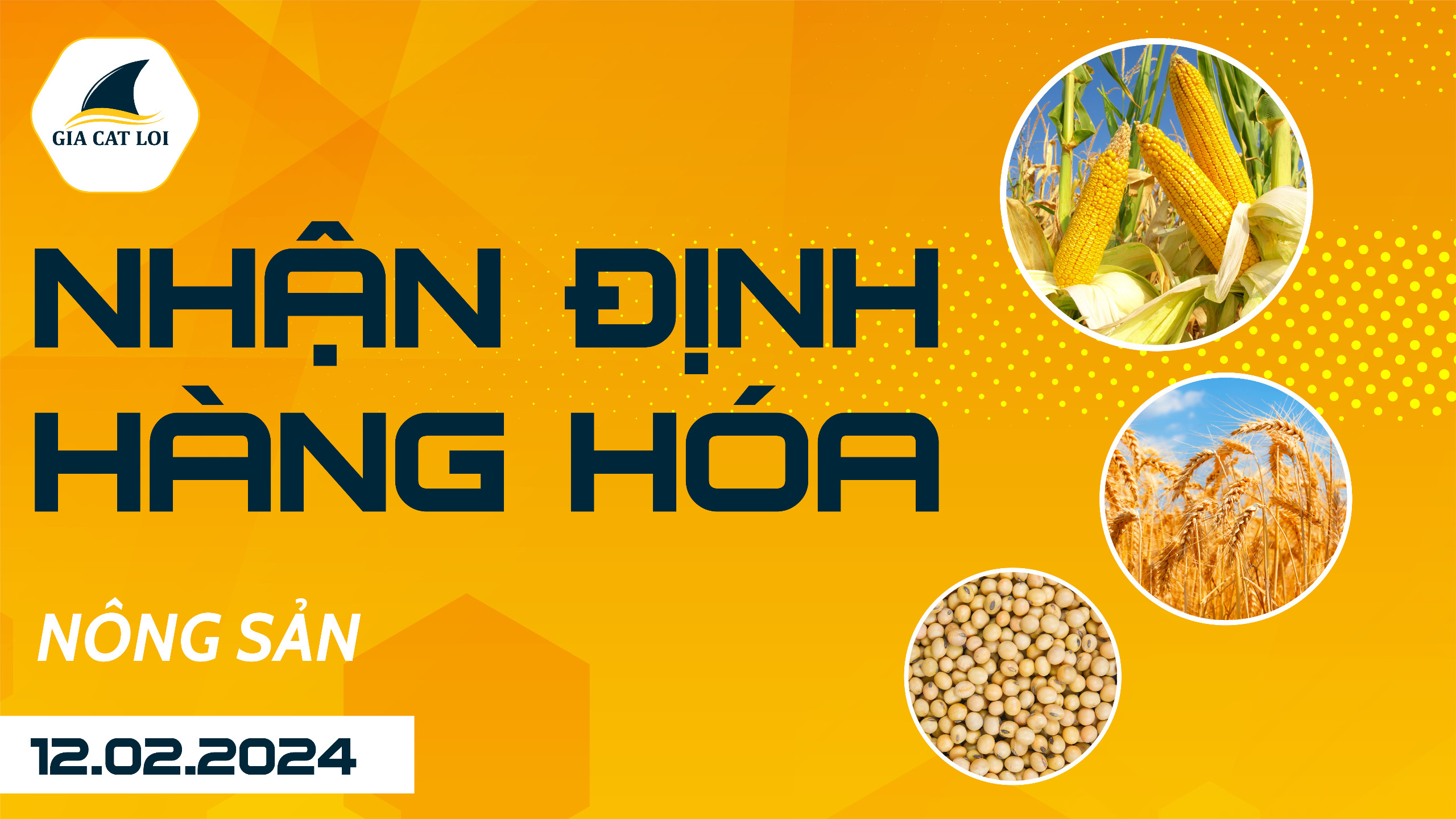 Nhận Định Hàng Hóa Nông Sản Ngày 12/02/2024