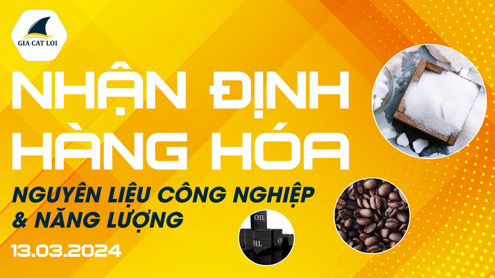 Nhận Định Hàng Hóa Năng Lượng & Nguyên Liệu Công Nghiệp Ngày 13/03/2024