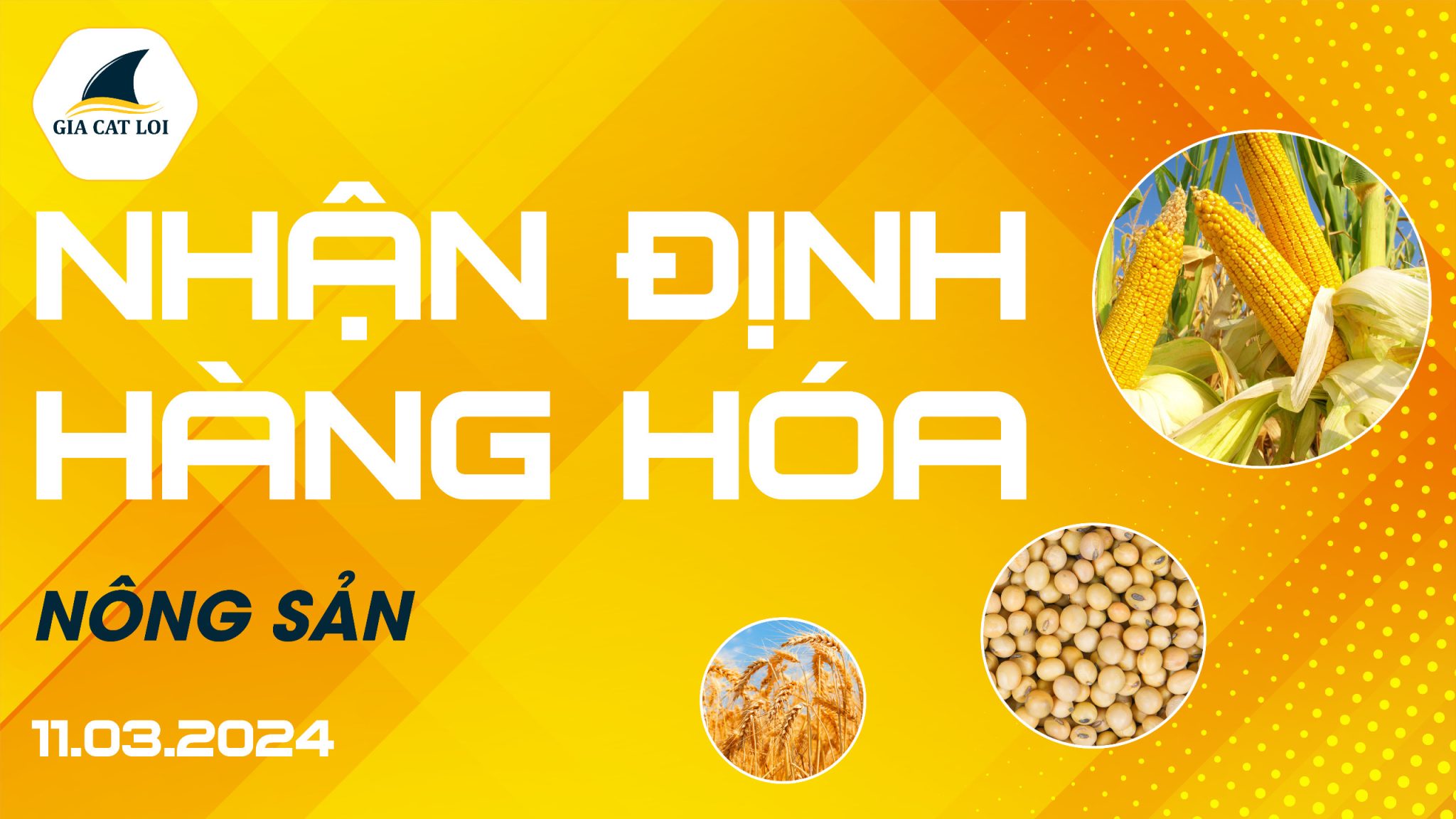 Nhận Định Hàng Hóa Nông Sản Ngày 11/03/2024