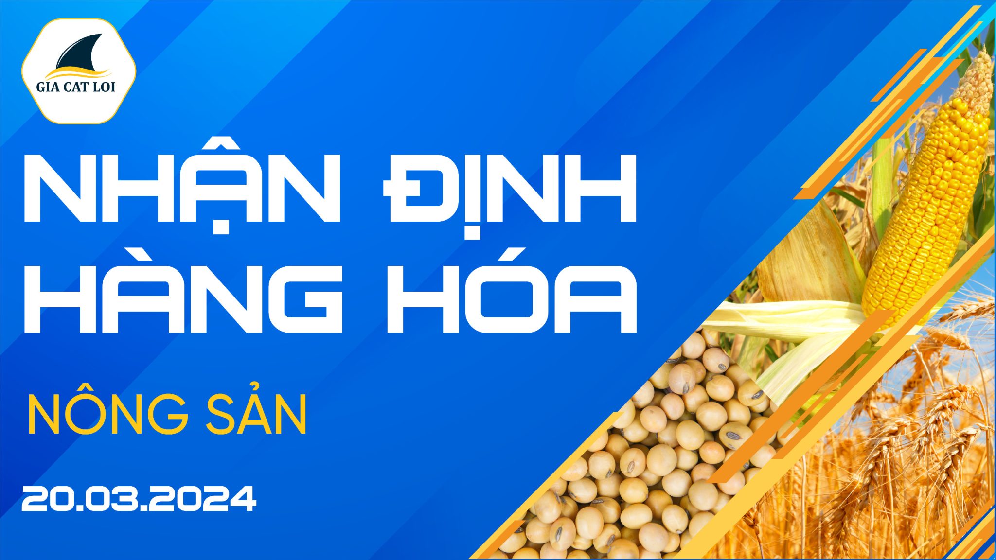 Nhận Định Hàng Hoá Nông Sản Ngày 20/03/2024