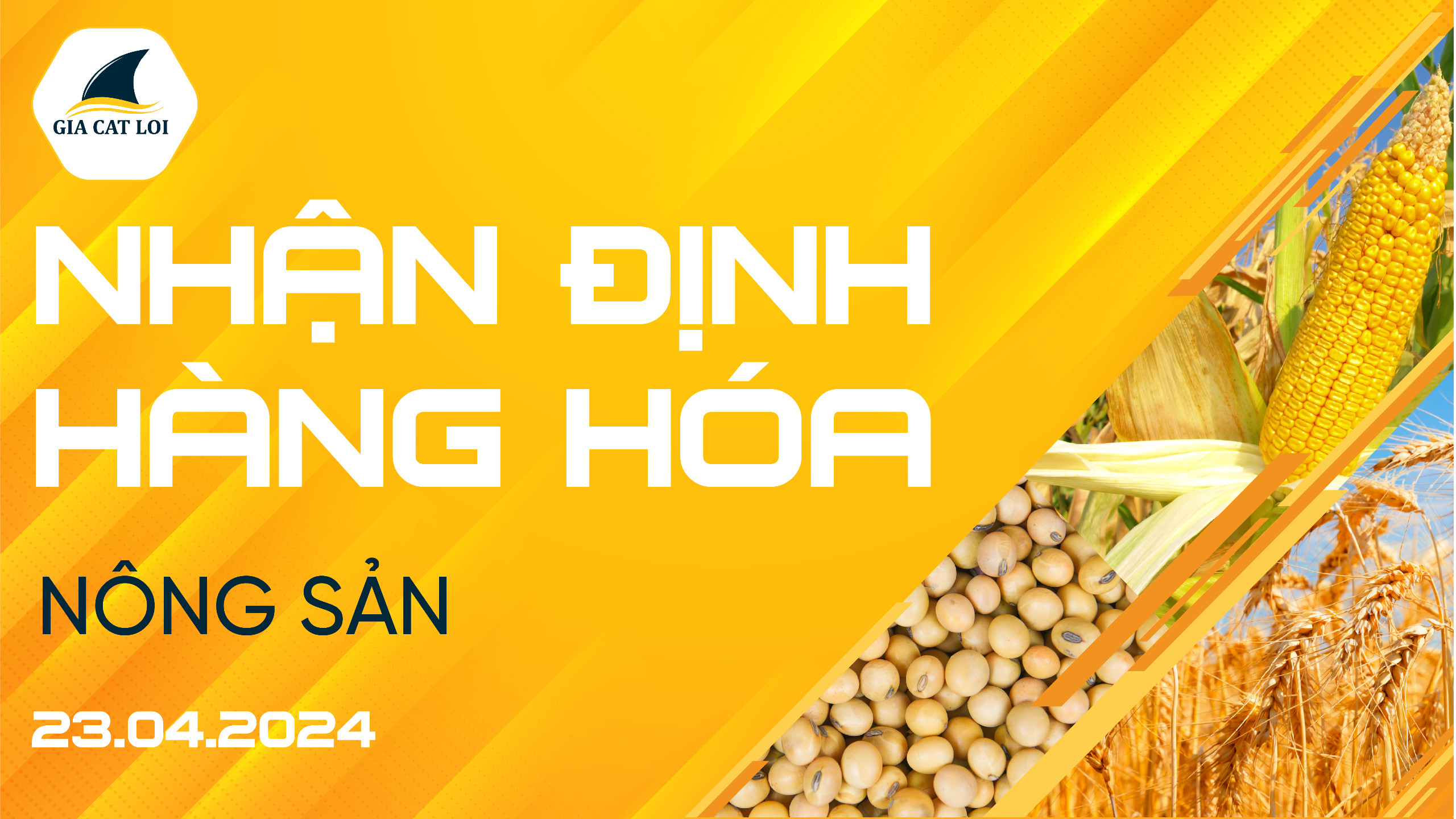Nhận Định Thị Trường Nông Sản Ngày 23/04/2024