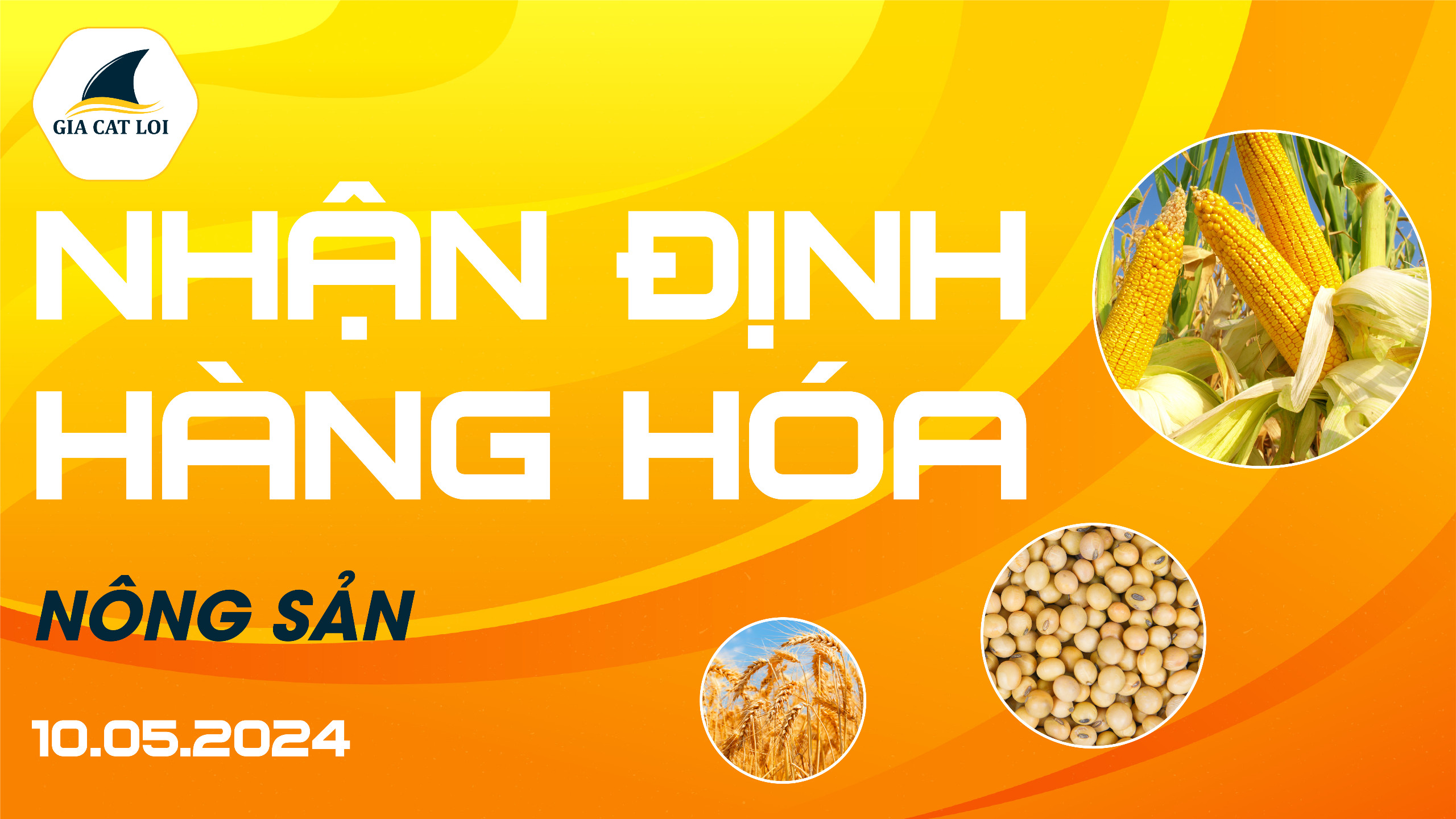 Nhận Định Thị Trường Nông Sản Ngày 10/05/2024