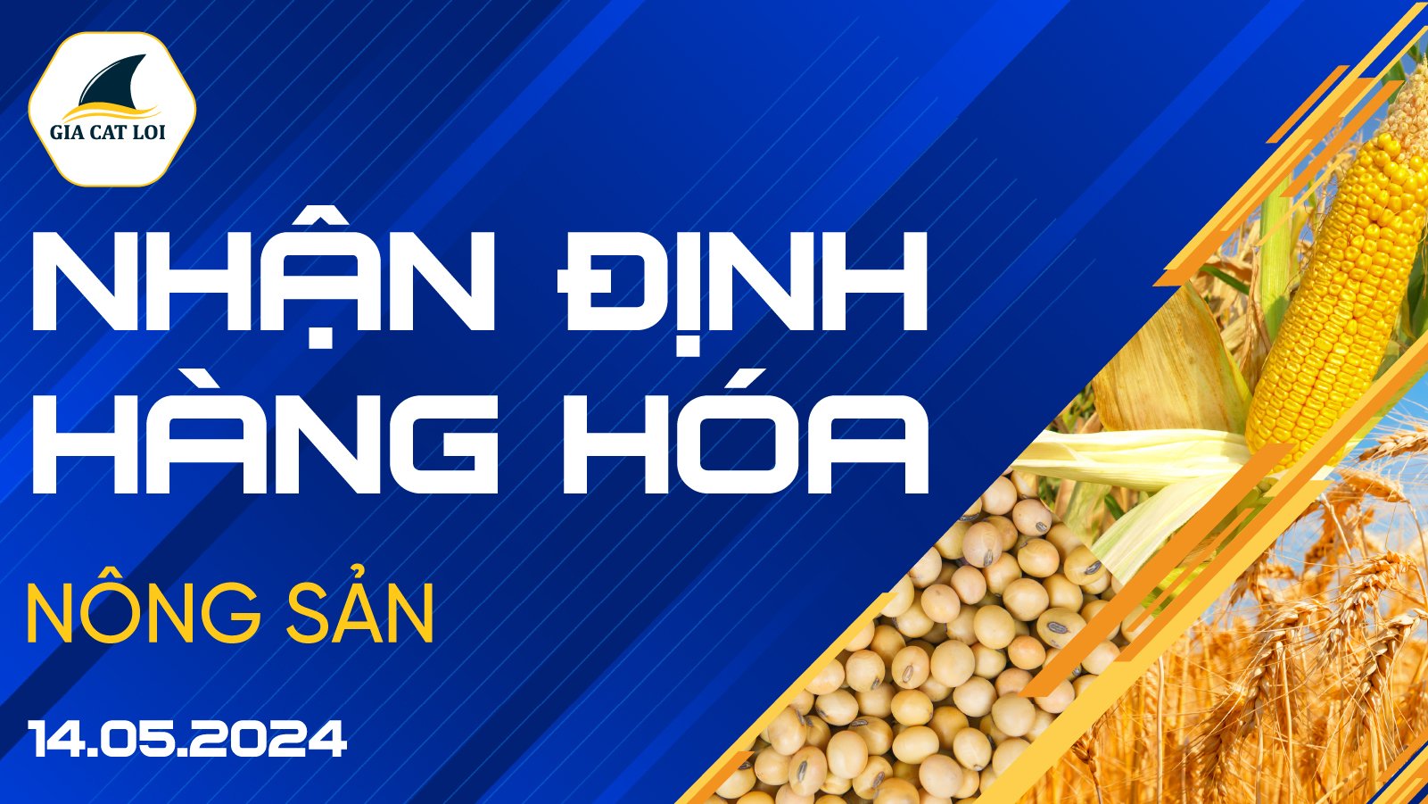 Nhận Định Thị Trường Nông Sản Ngày 14/05/2024
