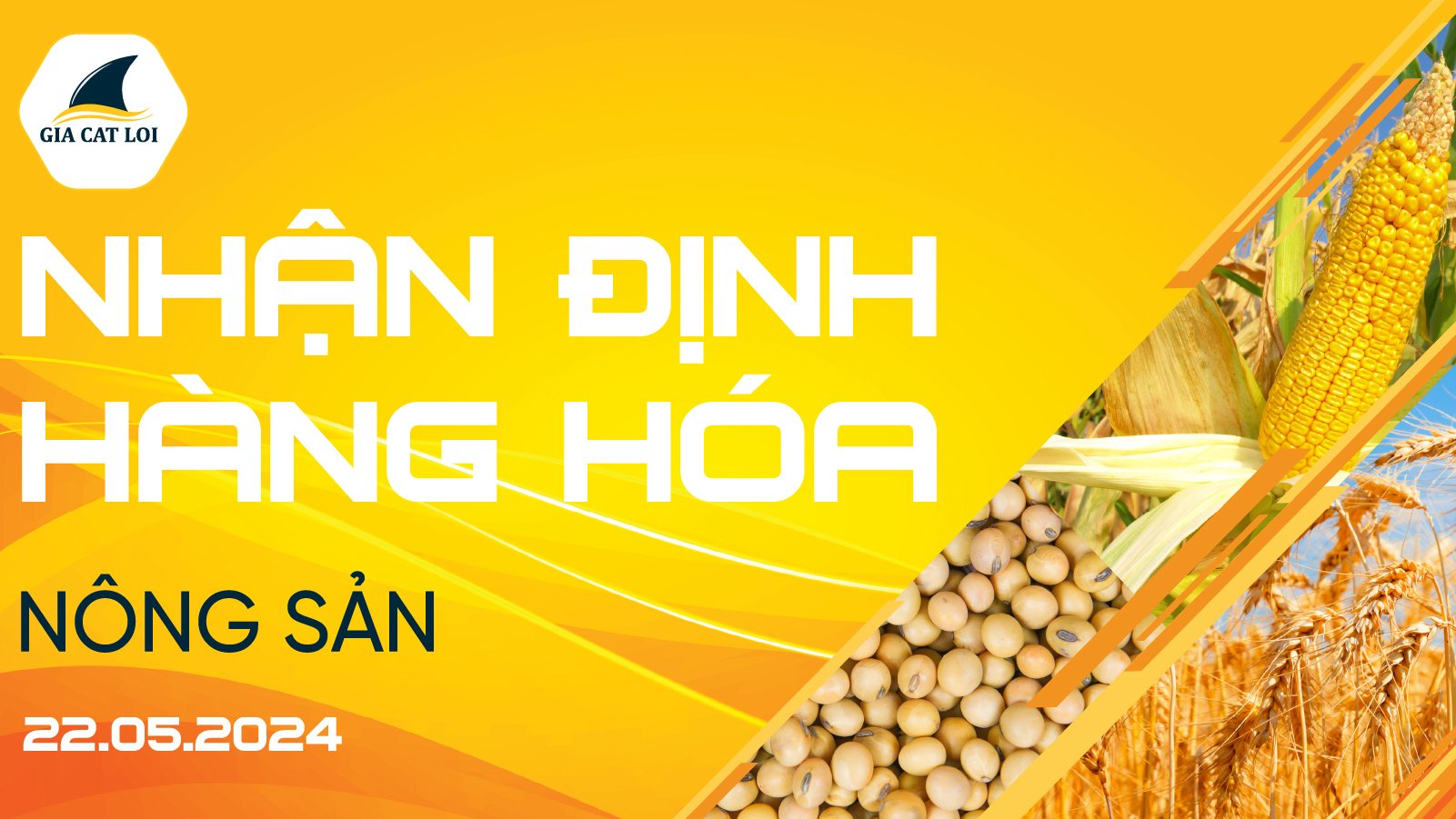 Nhận Định Thị Trường Nông Sản Ngày 22/05/2024