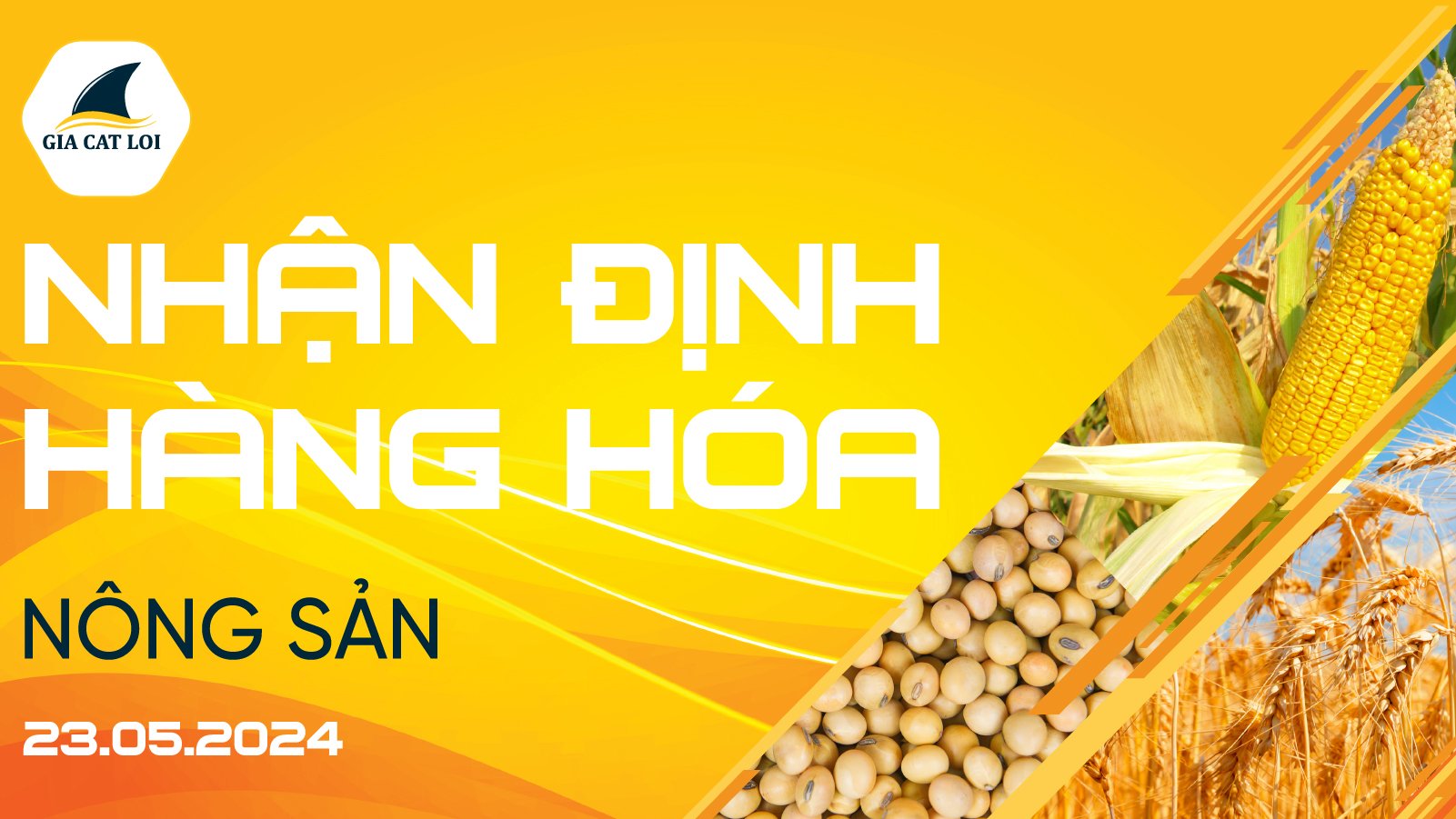 Nhận Định Thị Trường Nông Sản Ngày 23/05/2024