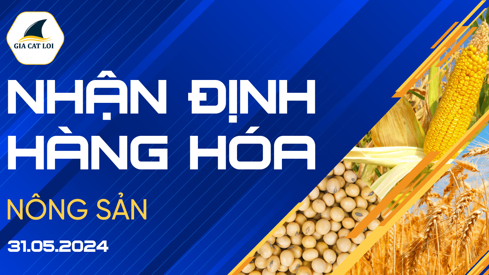Nhận Định Thị Trường Nông Sản Ngày 31/05/2024