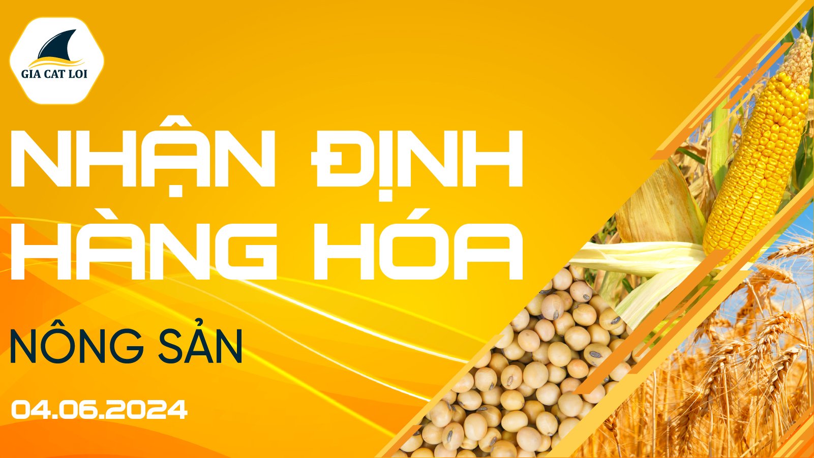 Nhận Định Thị Trường Nông Sản Ngày 04/06/2024