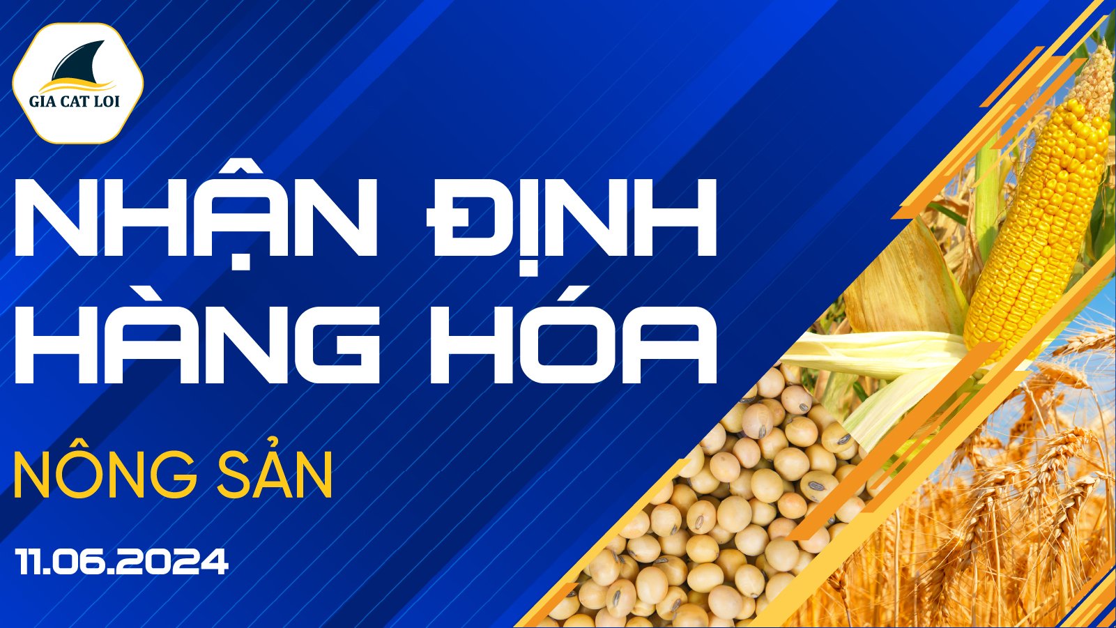 Nhận Định Thị Trường Nông Sản Ngày 11/06/2024
