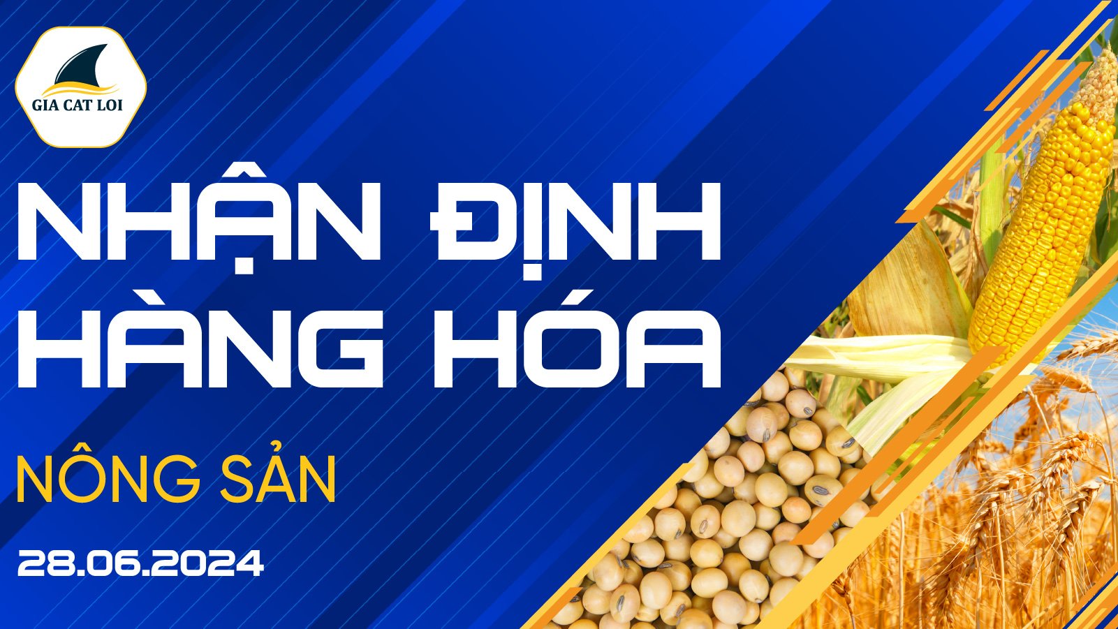 Nhận Định Thị Trường Nông Sản Ngày 28/06/2024