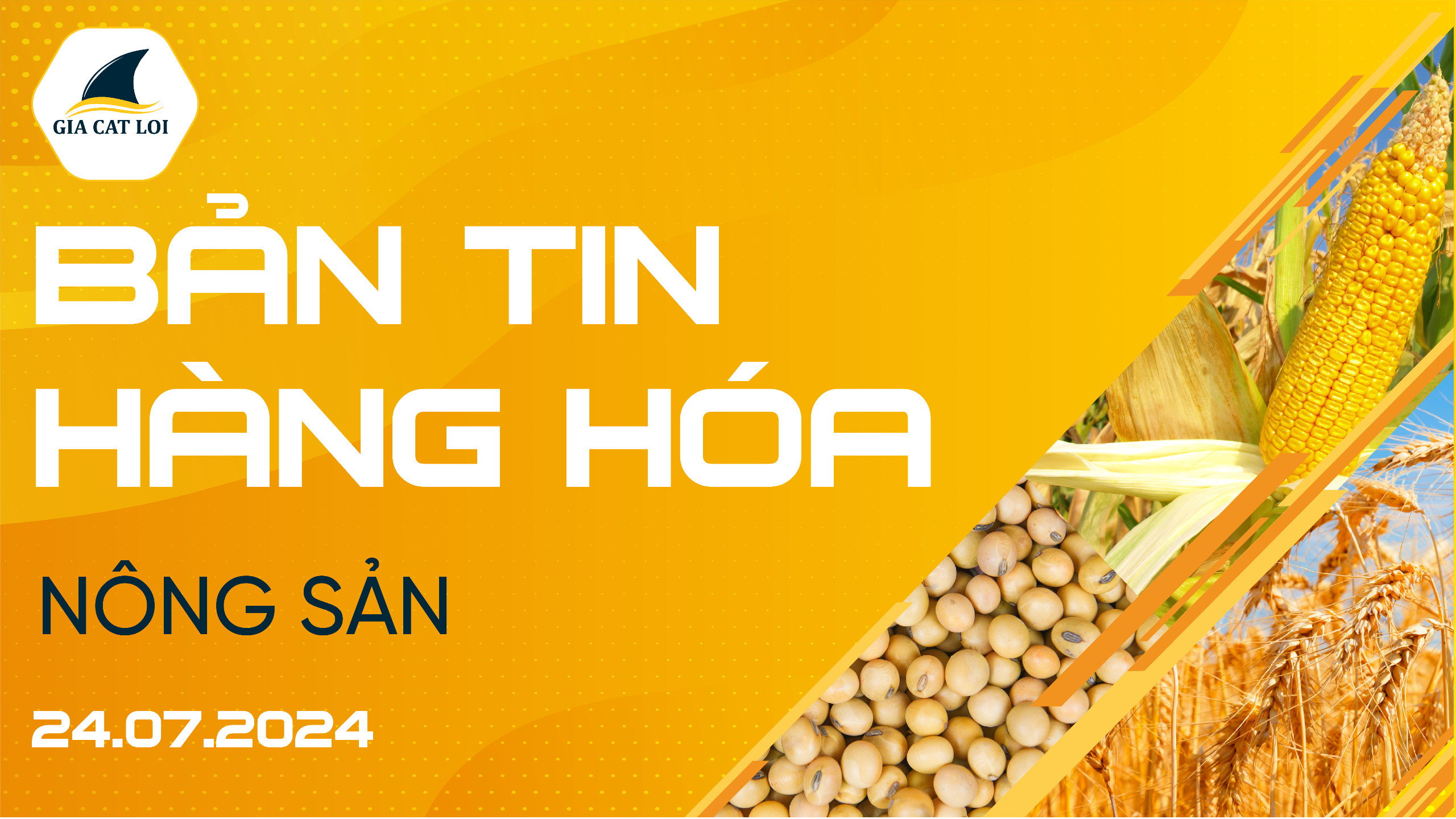 Bản Tin Nhóm Nông Sản Ngày 24/07/2024