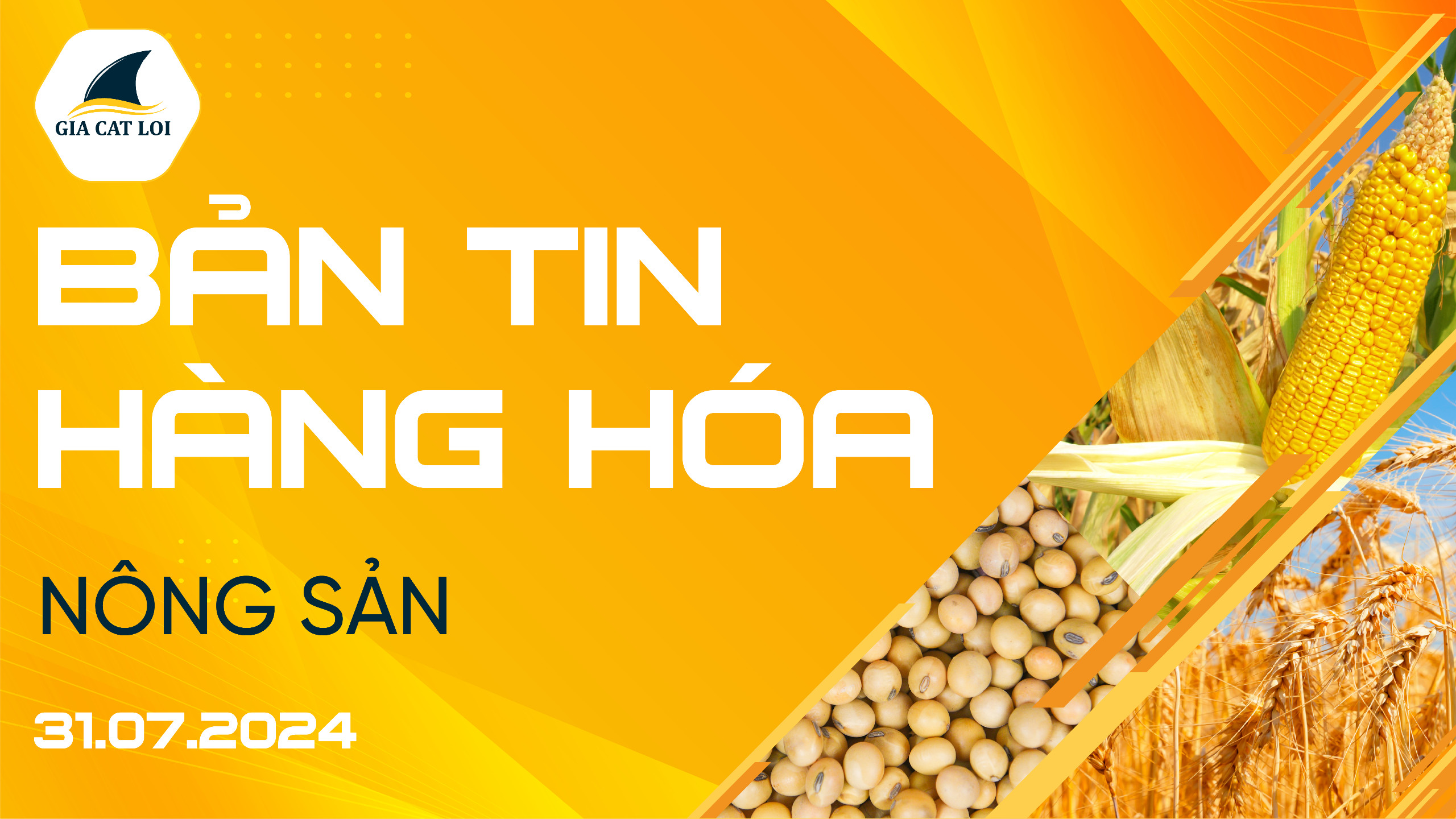 Bản Tin Nhóm Nông Sản Ngày 31/07/2024