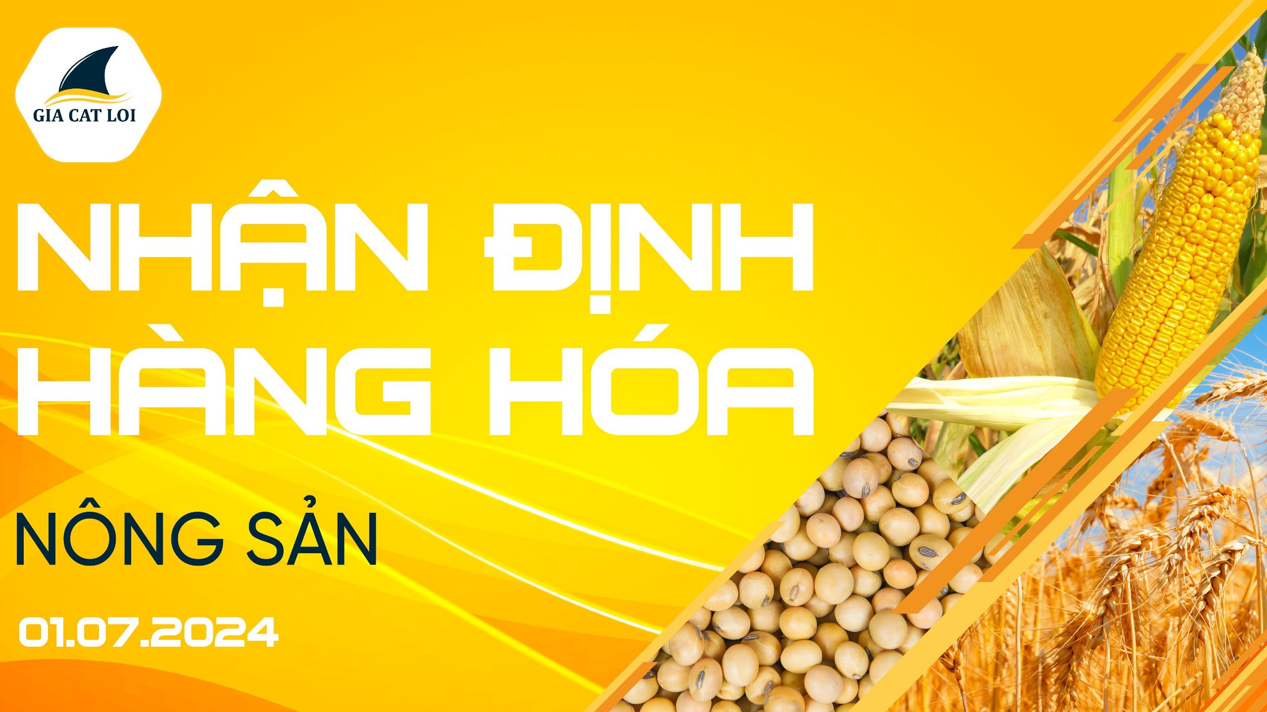 Nhận Định Thị Trường Nông Sản Ngày 01/07/2024