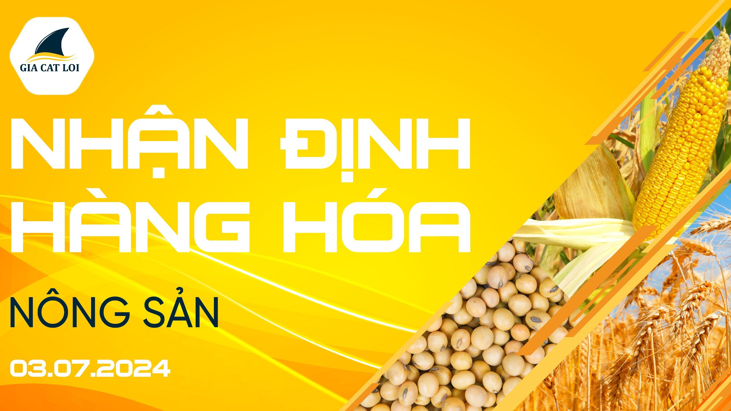 Nhận Định Thị Trường Nông Sản Ngày 03/07/2024