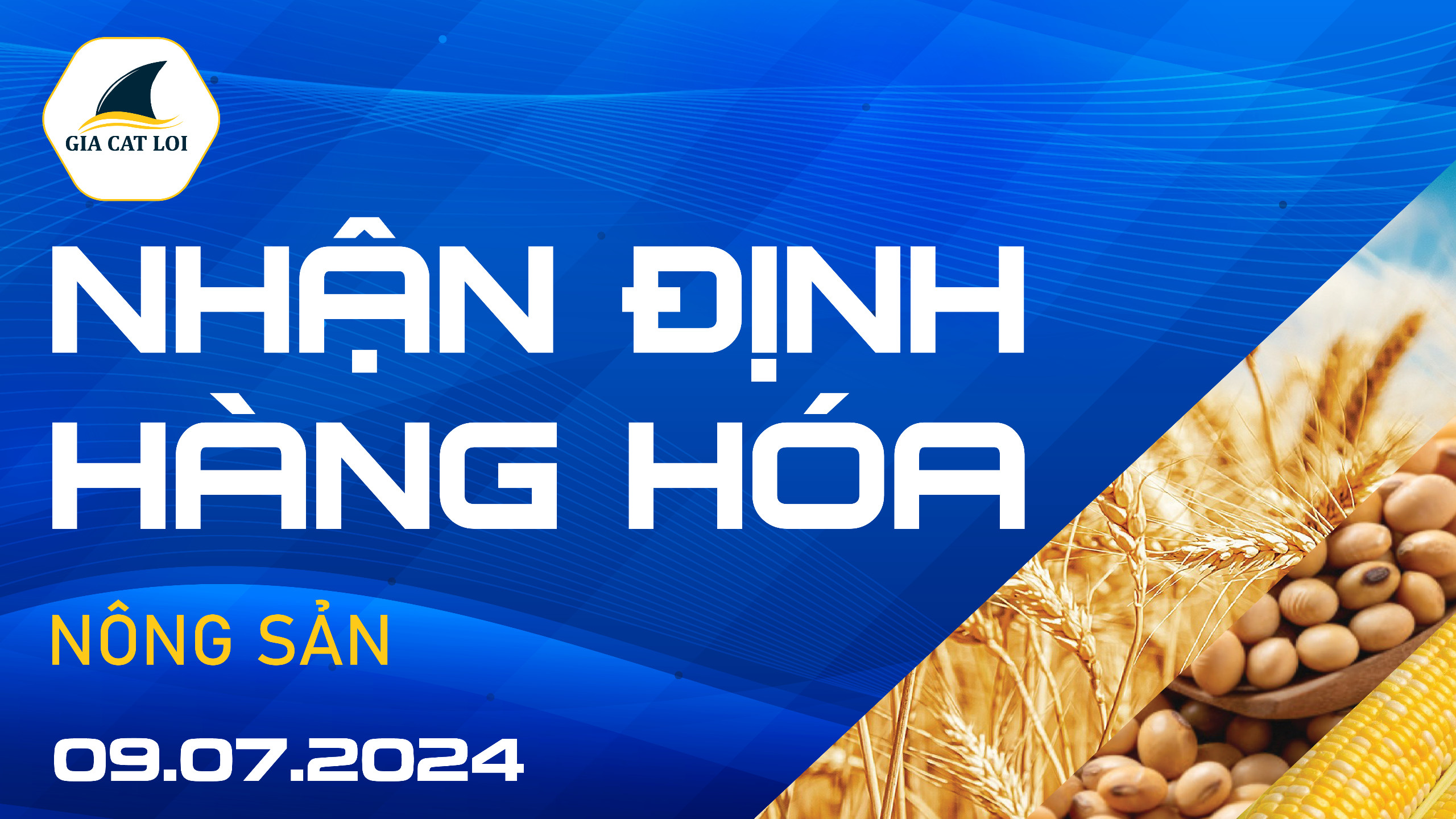 Nhận Định Thị Trường Nông Sản Ngày 09/07/2024