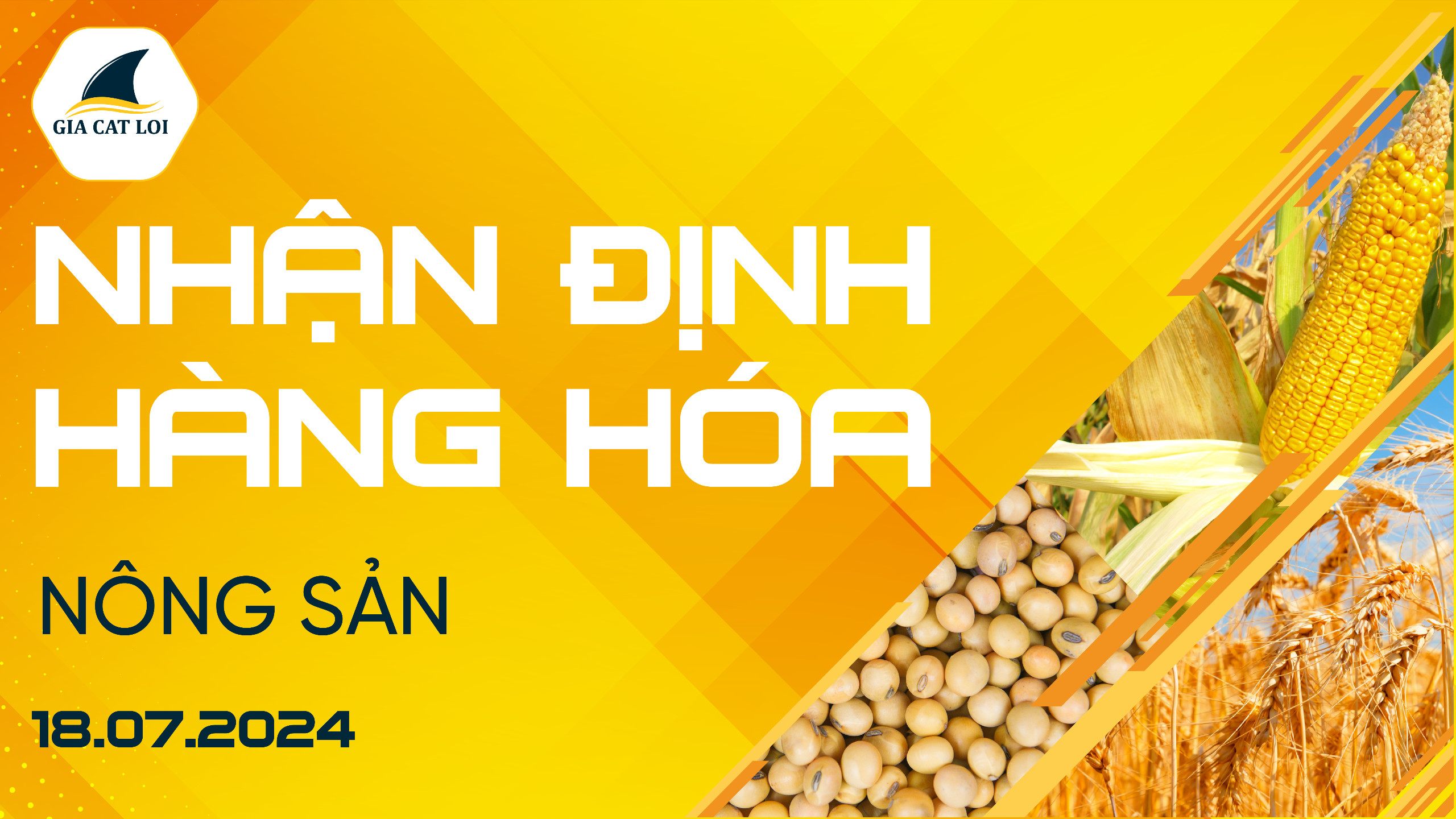 Nhận Định Thị Trường Nông Sản Ngày 18/07/2024