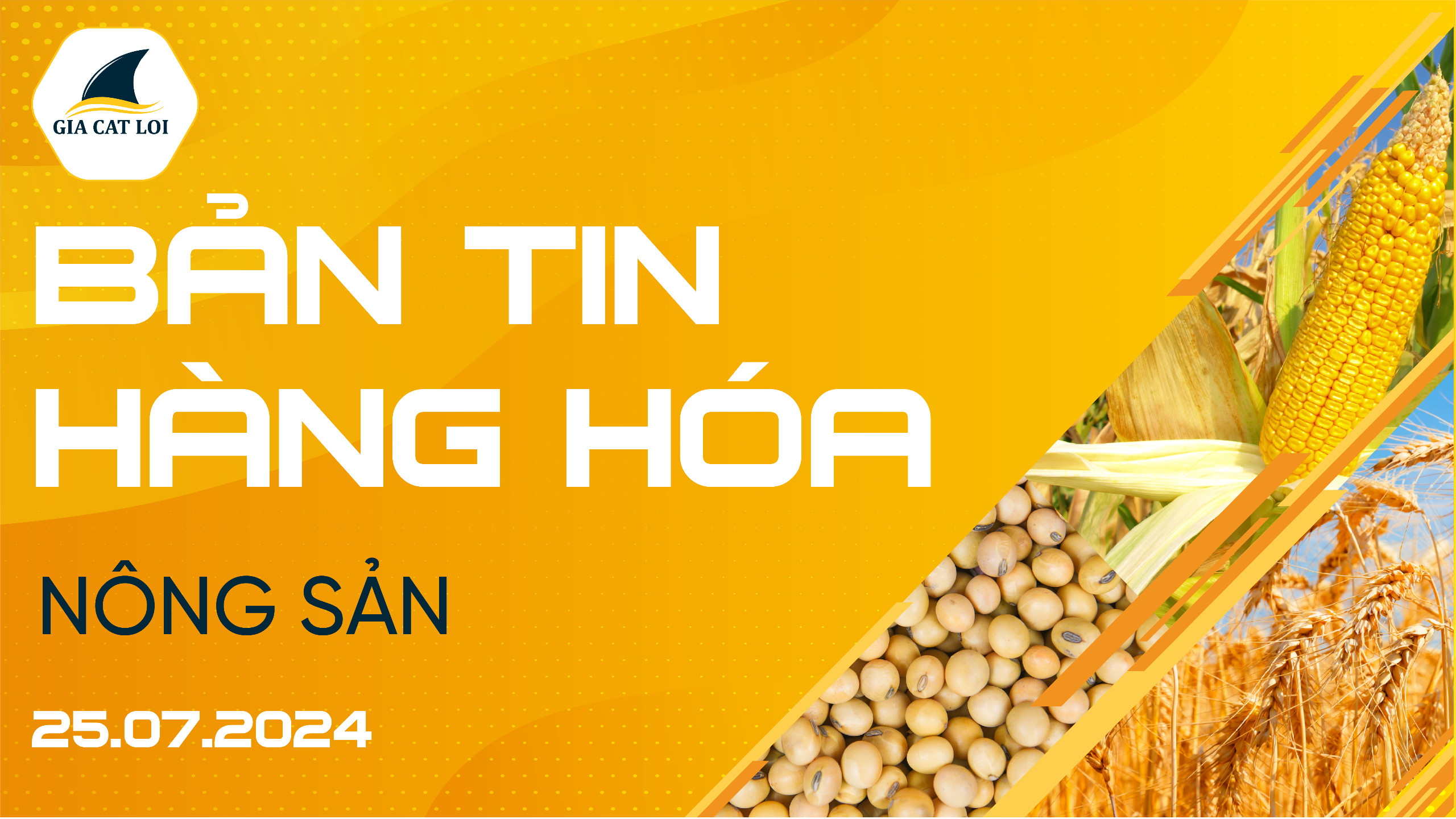 Bản Tin Nhóm Nông Sản Ngày 25/07/2024