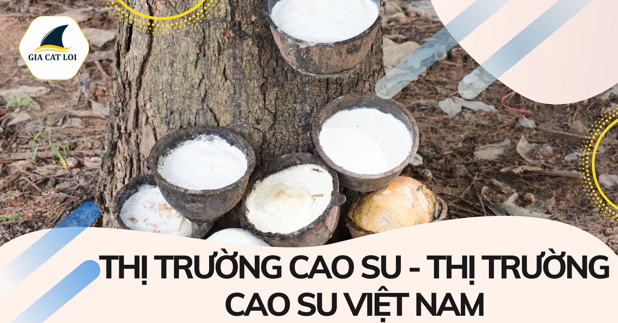 Thị Trường Cao Su – Thị Trường Cao Su Việt Nam