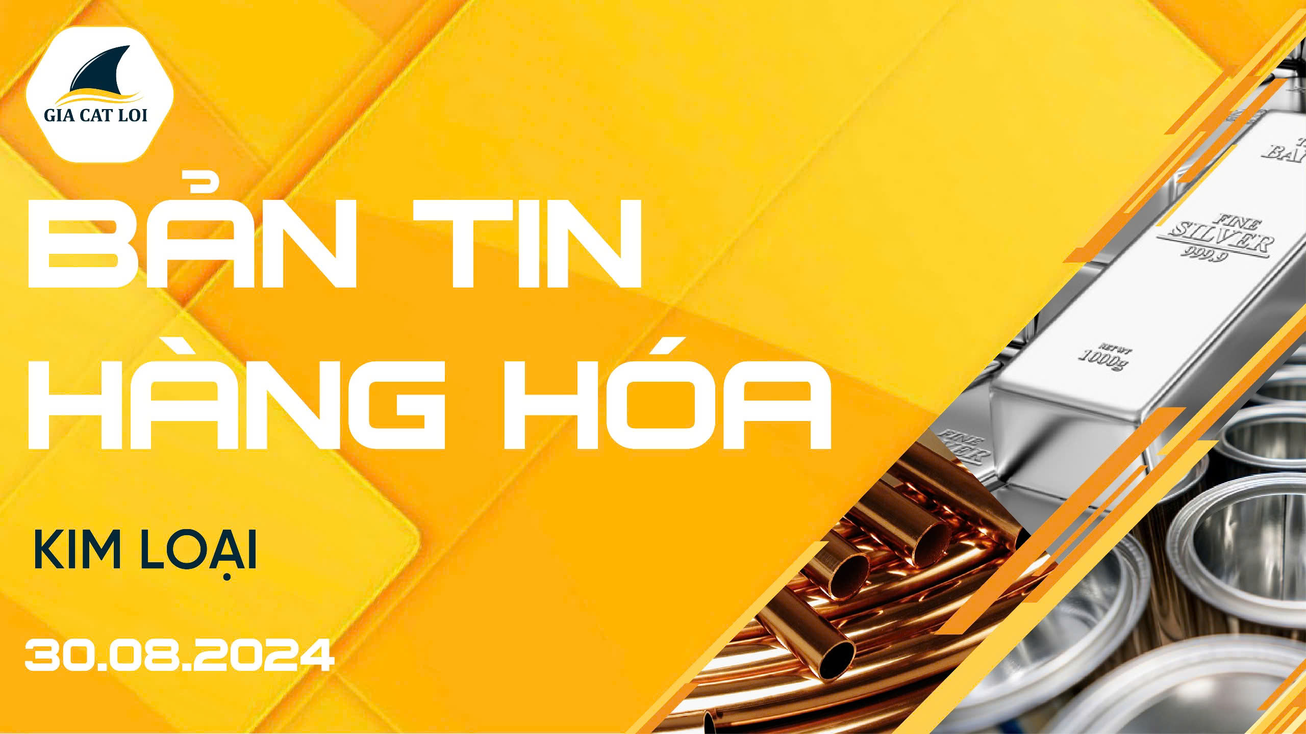 Bản Tin Nhóm Kim Loại Ngày 30/08/2024