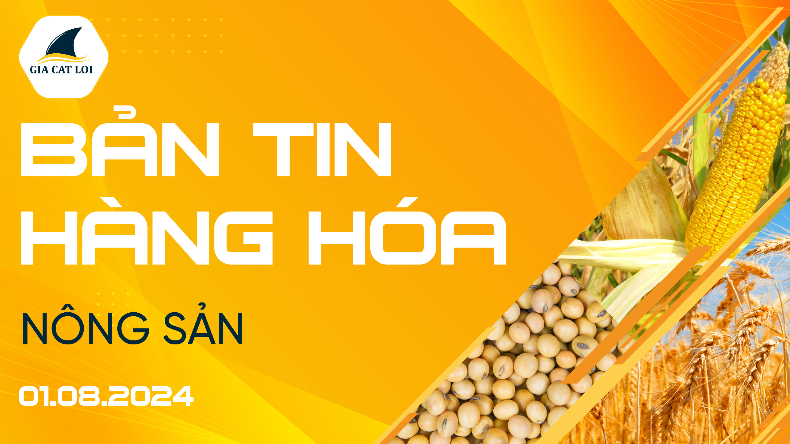 Bản Tin Nhóm Nông Sản Ngày 01/08/2024