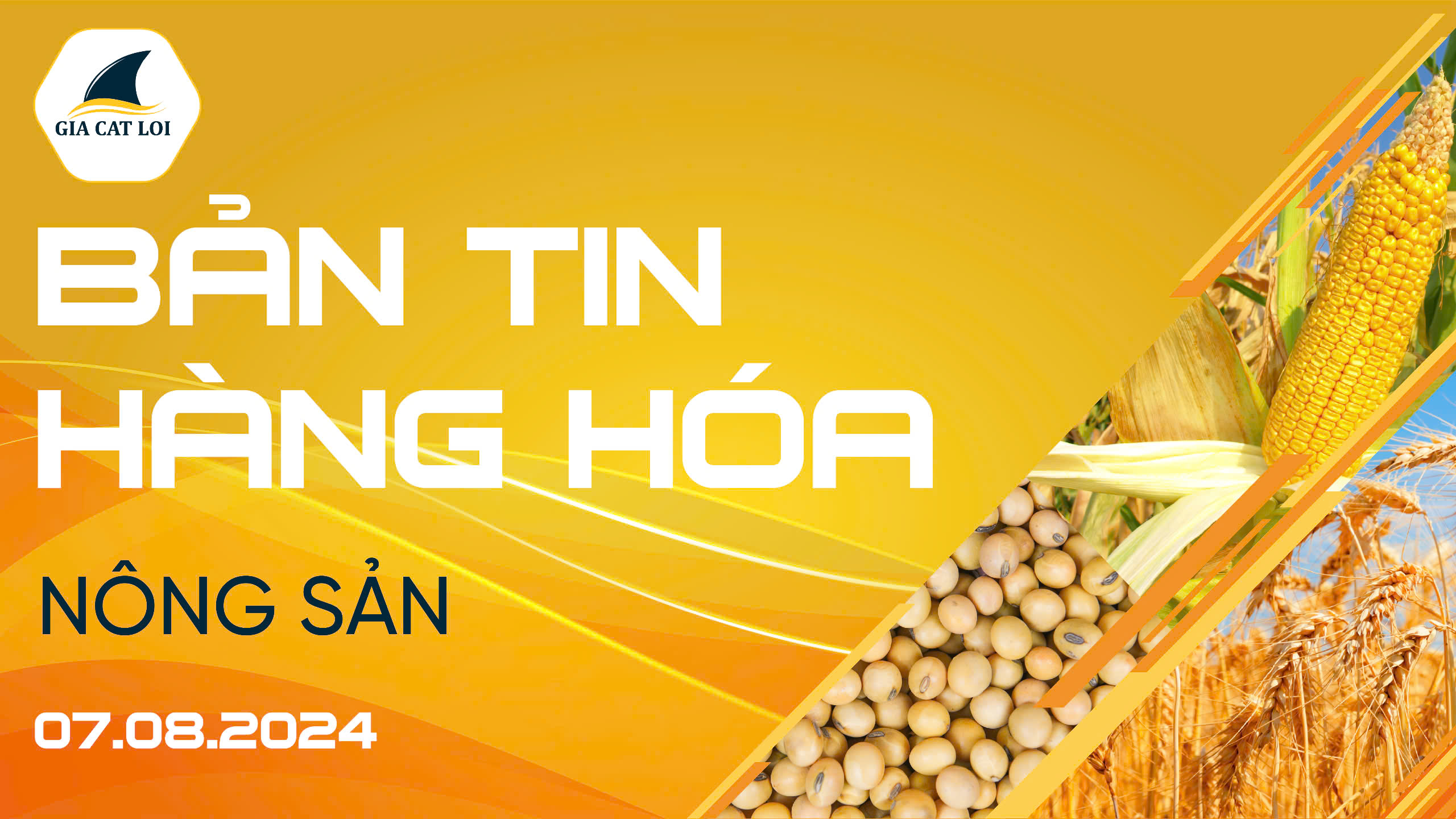 Bản Tin Nhóm Nông Sản Ngày 07/08/2024