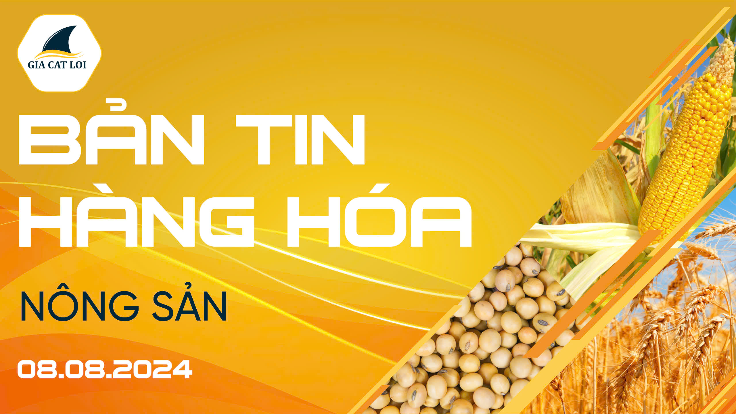 Bản Tin Nhóm Nông Sản Ngày 08/08/2024