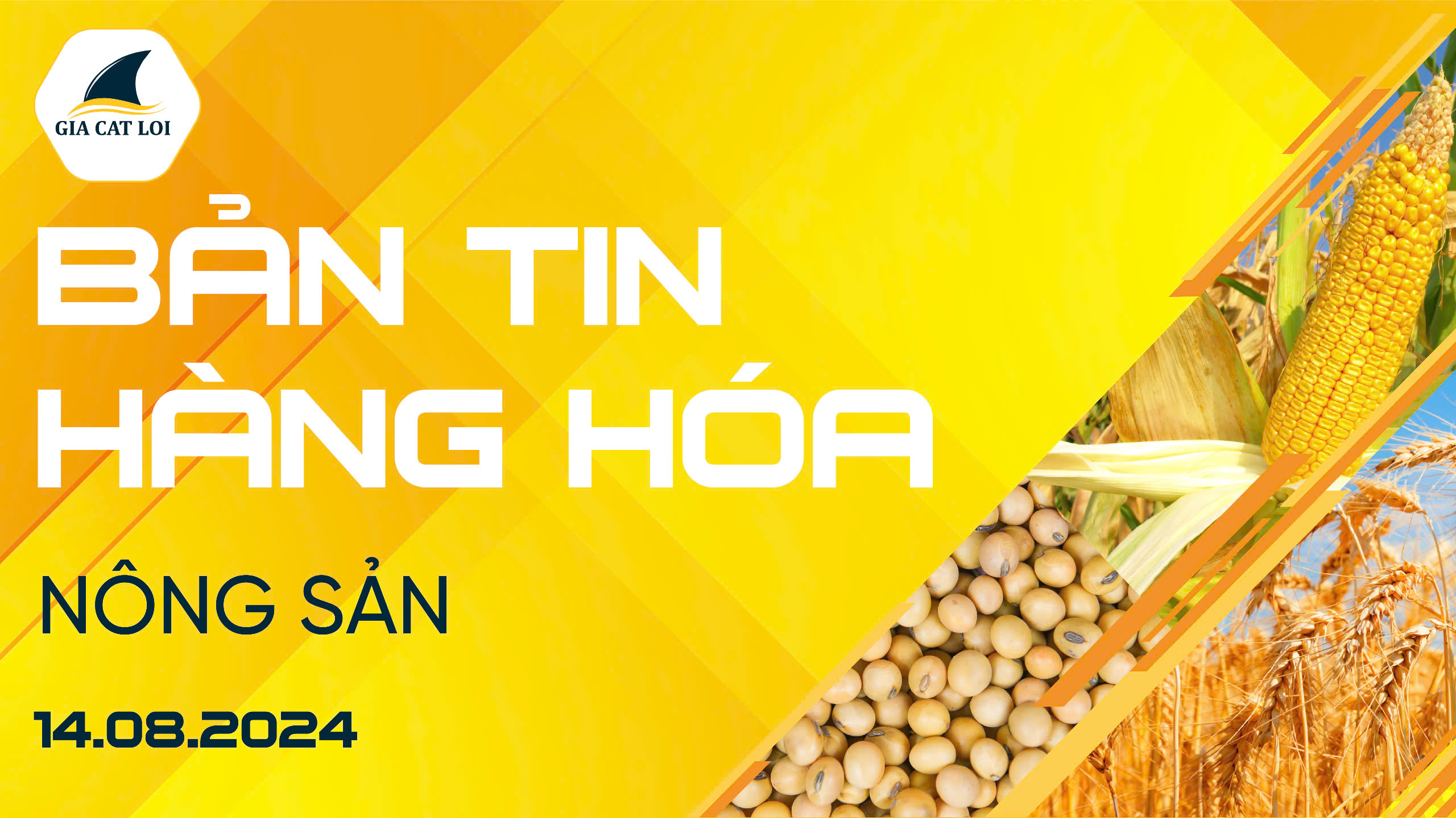 Bản Tin Nhóm Nông Sản Ngày 14/08/2024