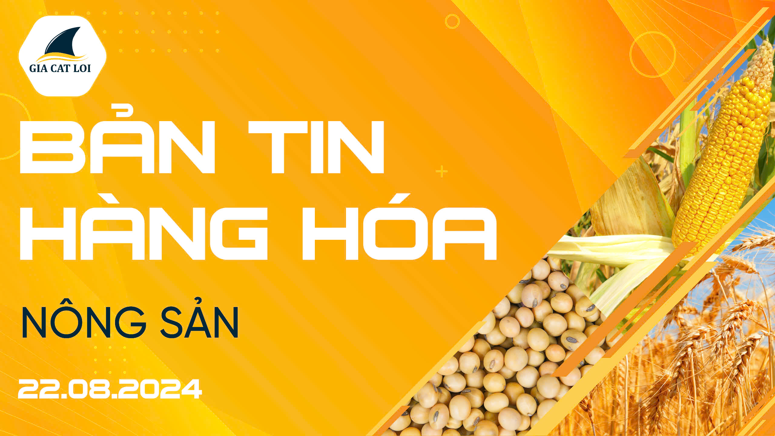 Bản Tin Nhóm Nông Sản Ngày 22/08/2024
